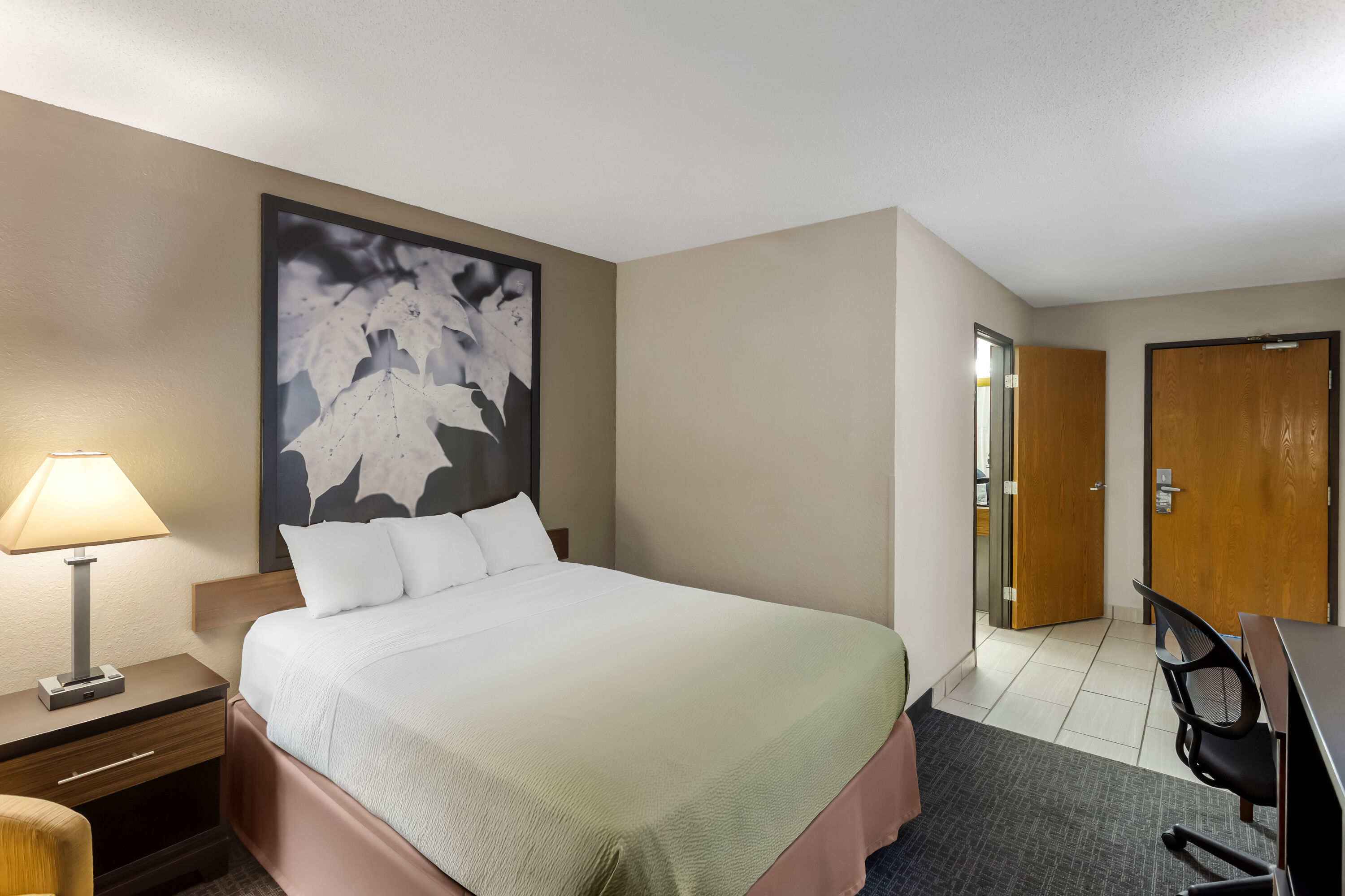 Queen bed guest room at the Super 8 by Wyndham Elkins in Elkins, West Virginia