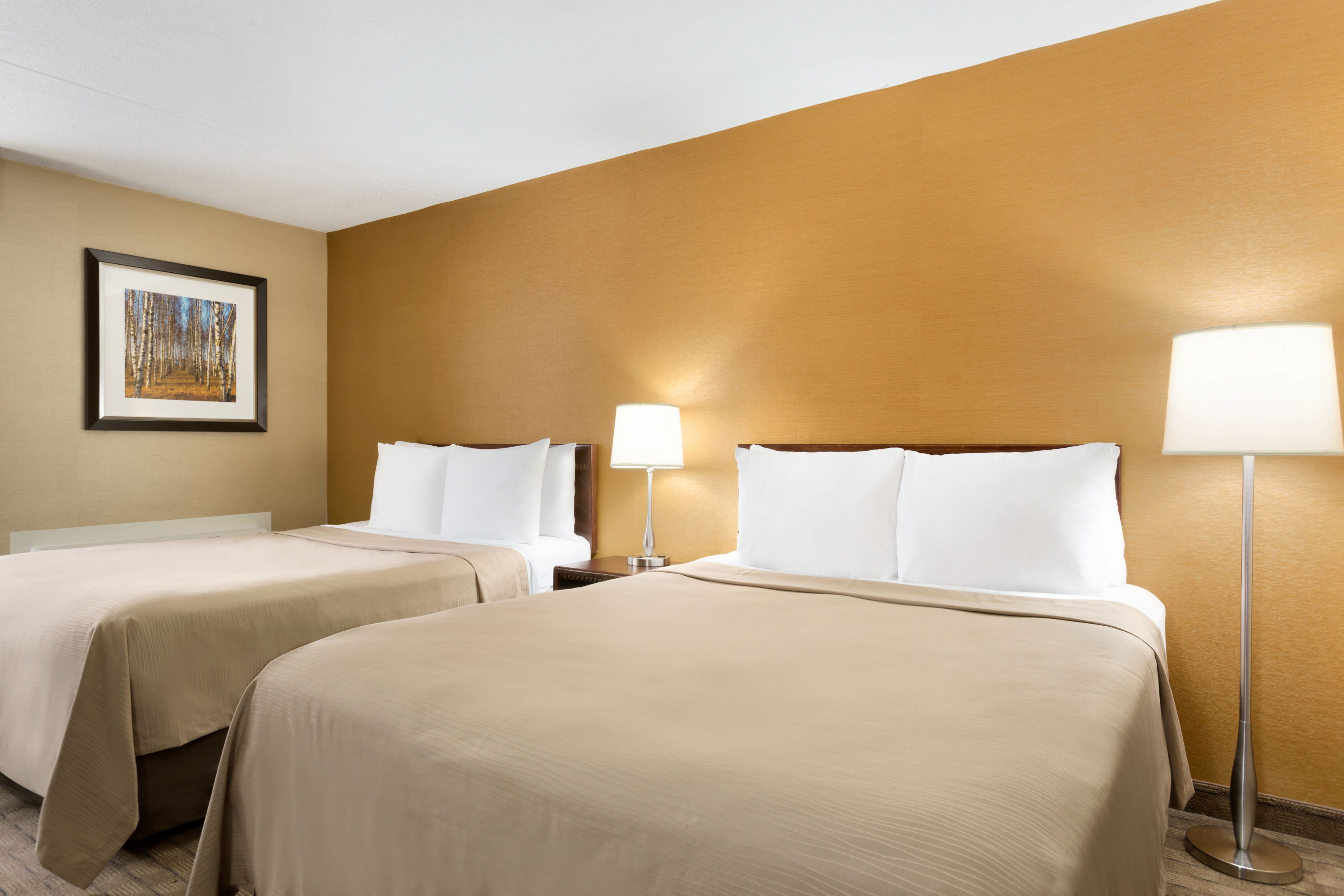 Guest room at the Travelodge by Wyndham Toronto East in Toronto, Ontario