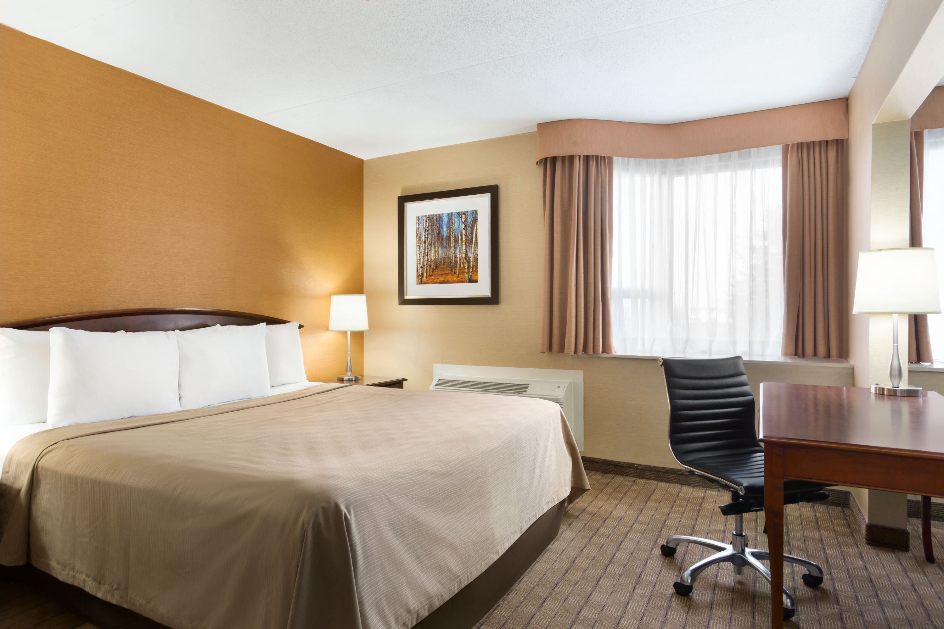Travelodge by Wyndham Toronto East suite in Toronto, Ontario