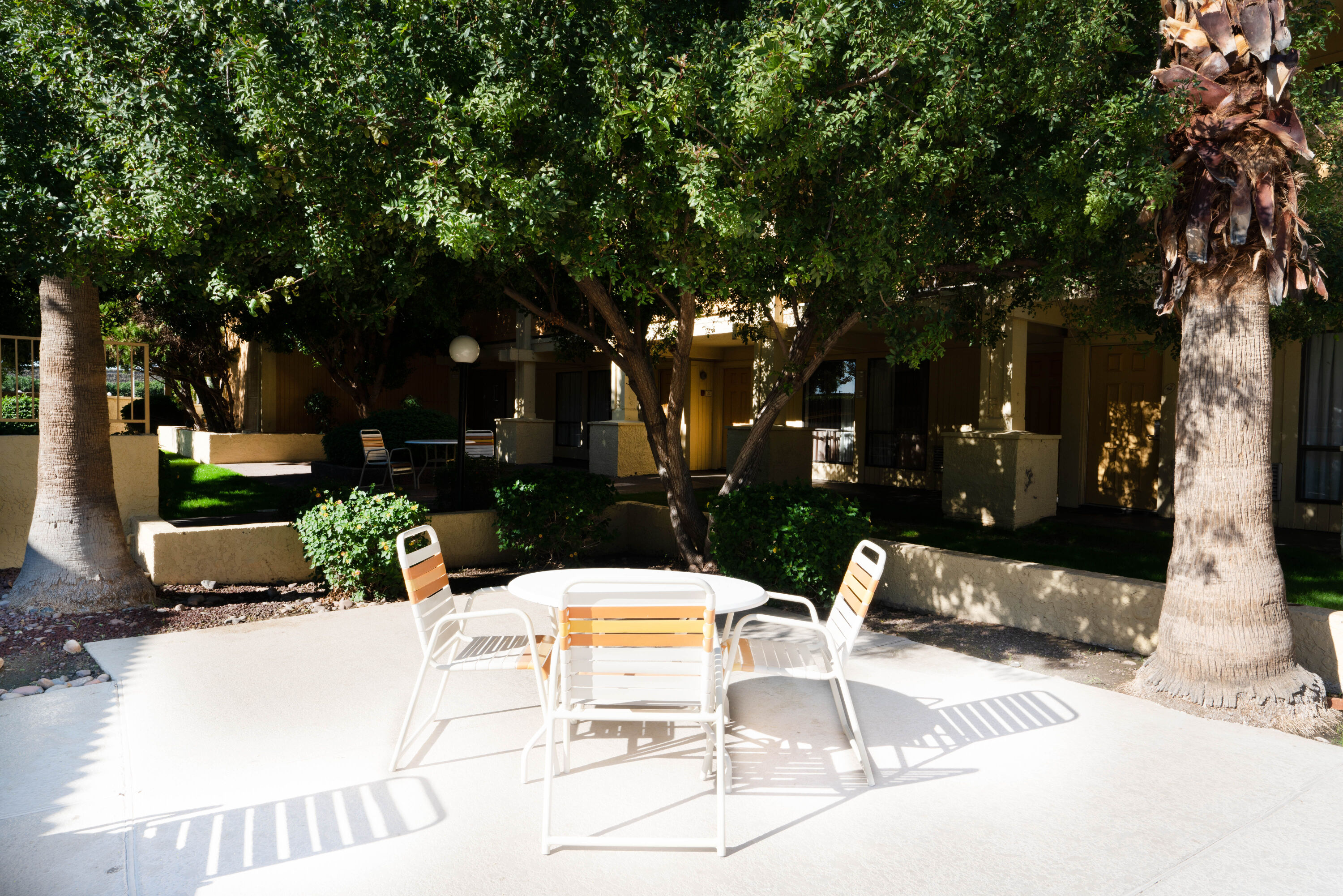 Courtyard at Travelodge by Wyndham Phoenix North in Phoenix, Arizona