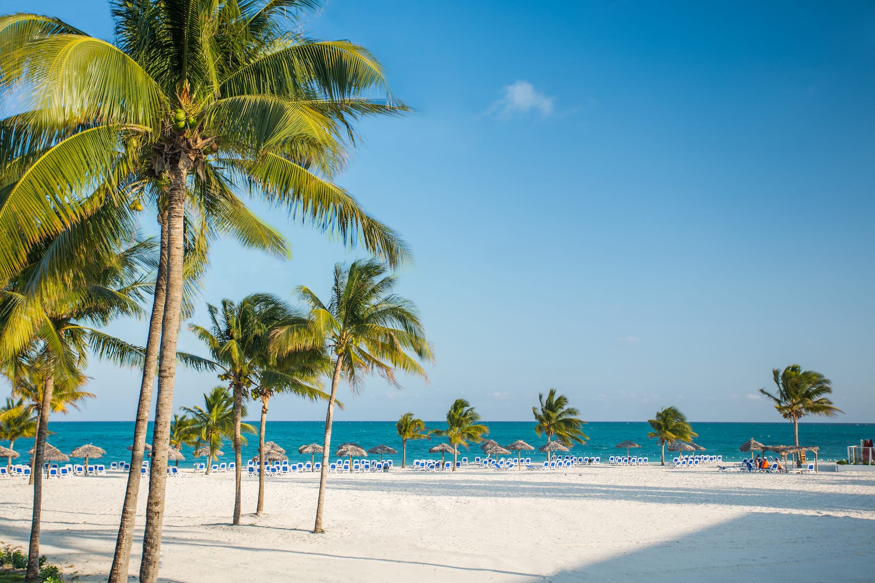 Beach near Viva Fortuna Beach by Wyndham, A Trademark All Inclusive in Freeport, Other than US/Canada