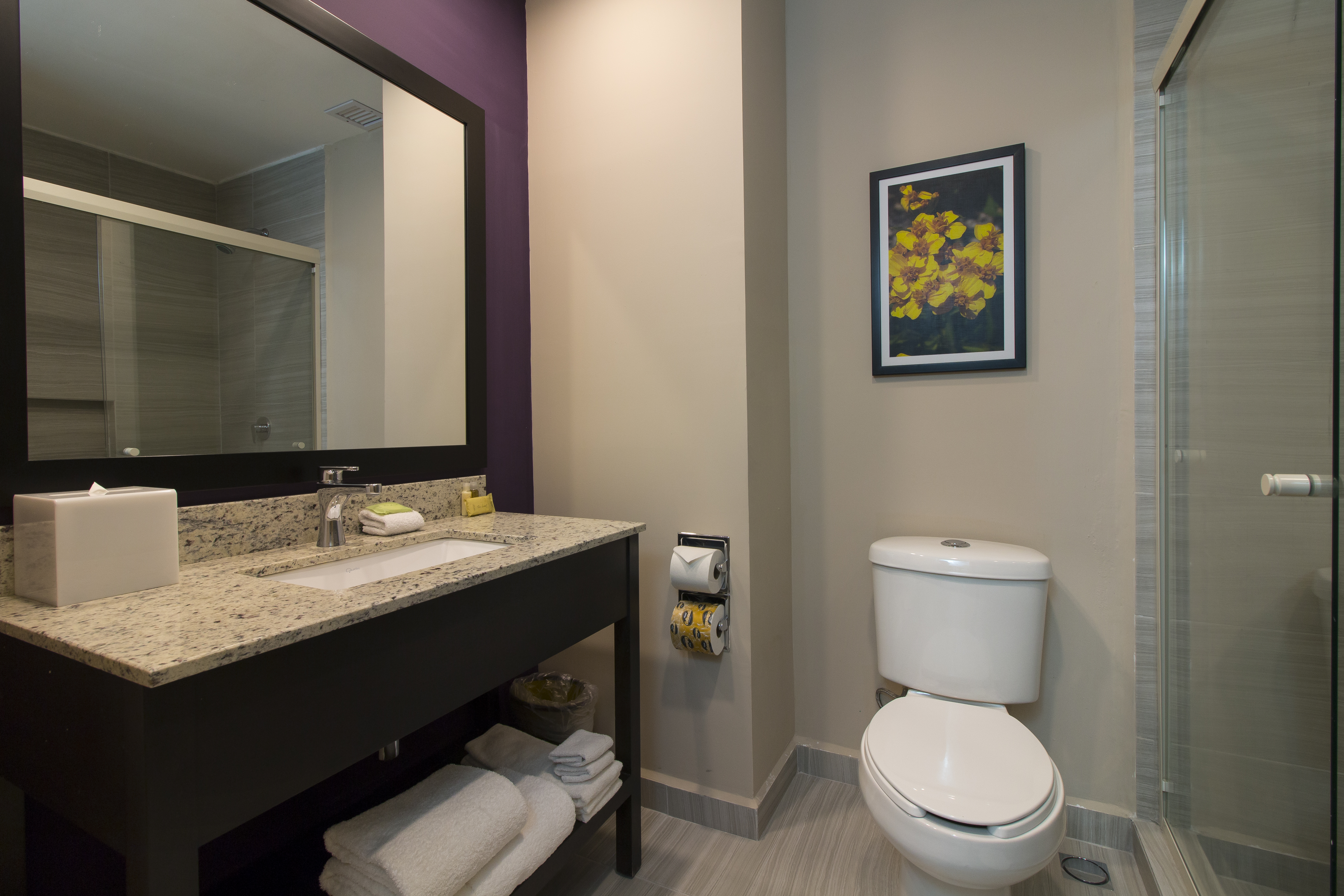 Guest room bath at the CHN Hotel Monterrey Aeropuerto, Trademark by Wyndham in Monterrey, Other than US/Canada