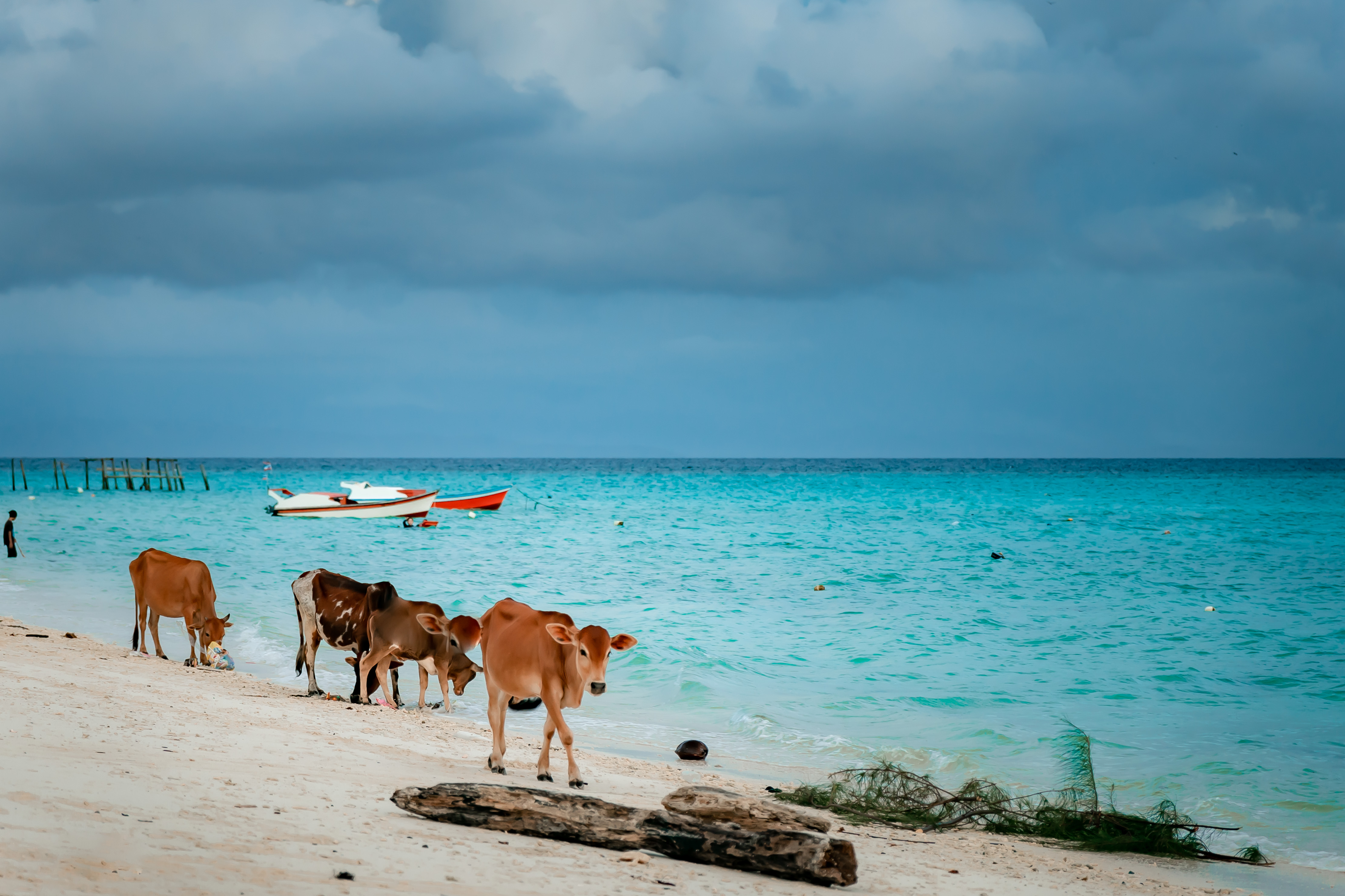 Beach near JSK Mantanani Island Resorts Trademark by Wyndham in Kota Belud, Other than US/Canada