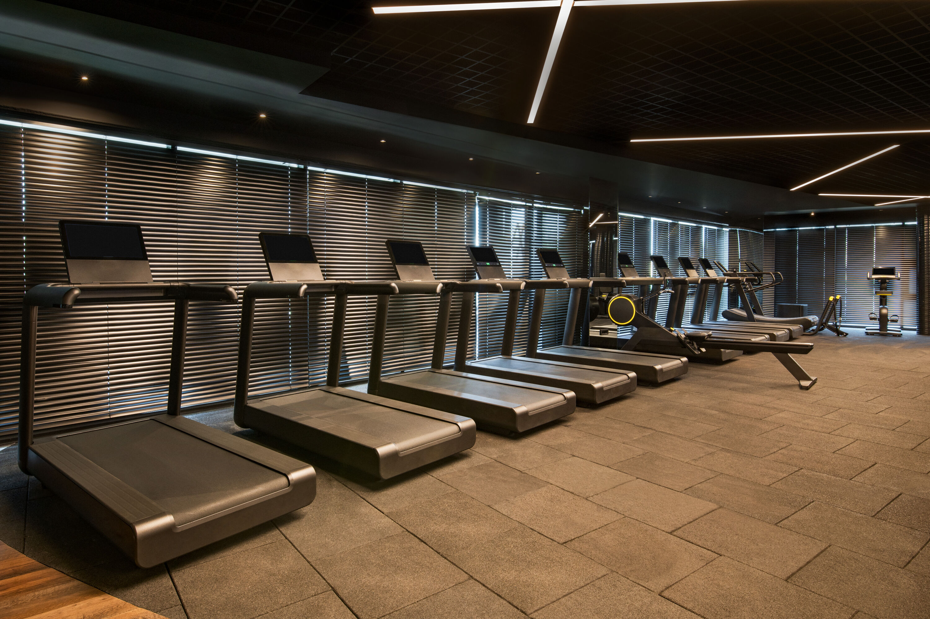 Fitness room at FT Lotus Thermal Hotel&Spa, Trademark Collection By Wyndham in Izmir, Other than US/Canada