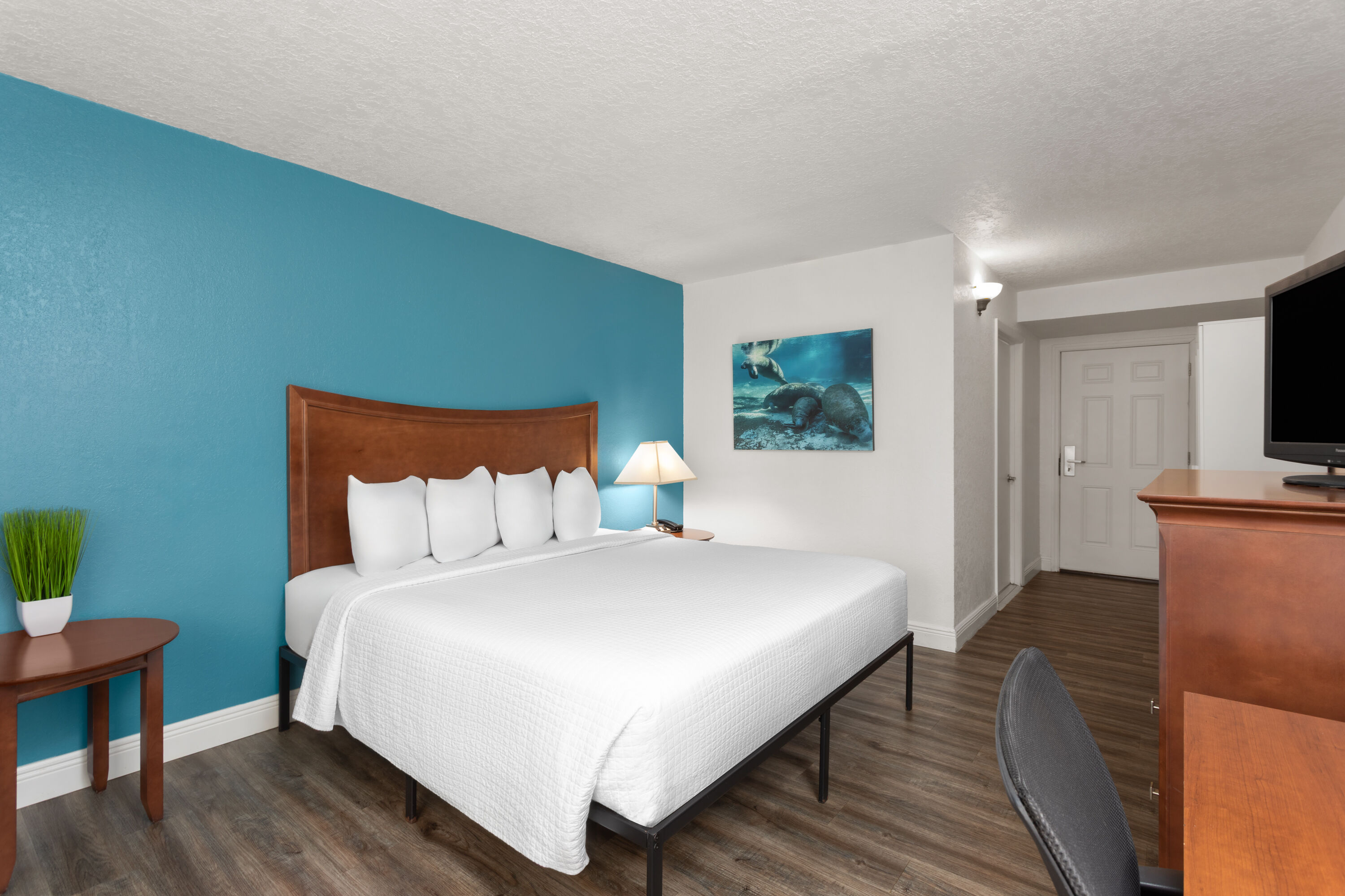 Guest room at the PaddleTail Waterfront Lodge, Trademark Collection by Wyndham in Crystal River, Florida