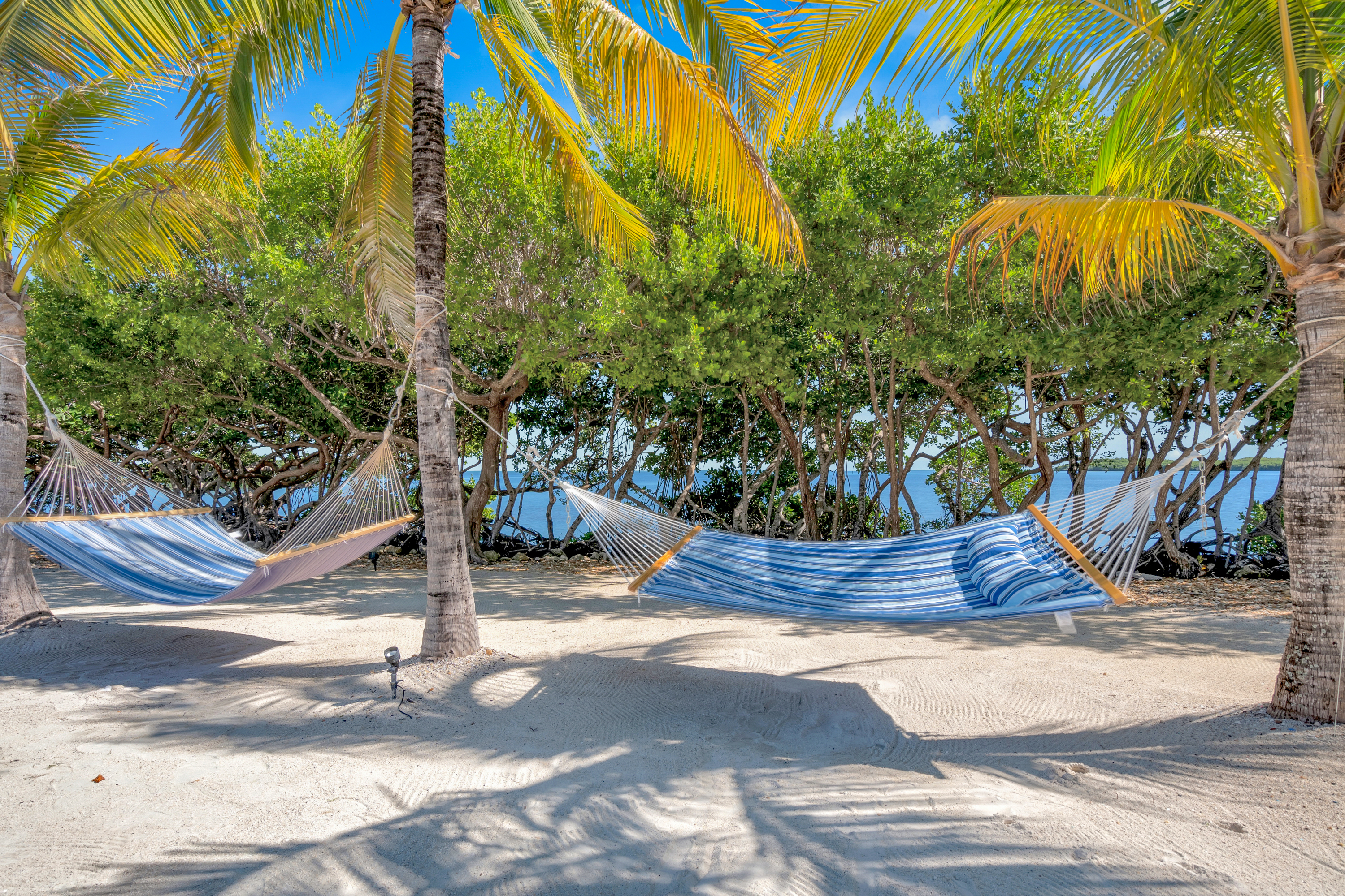 Exterior of Dove Creek Resort & Marina, Trademark Collection by Wyndham hotel in Key Largo, Florida