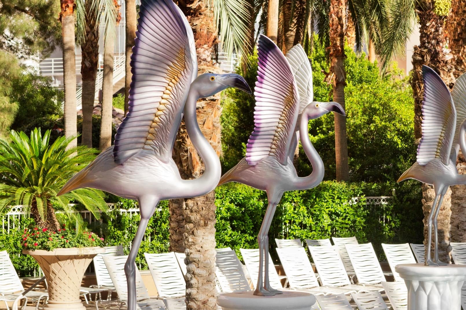 Property amenity at Flamingo Las Vegas, Trademark Collection by Wyndham in Las Vegas, Nevada