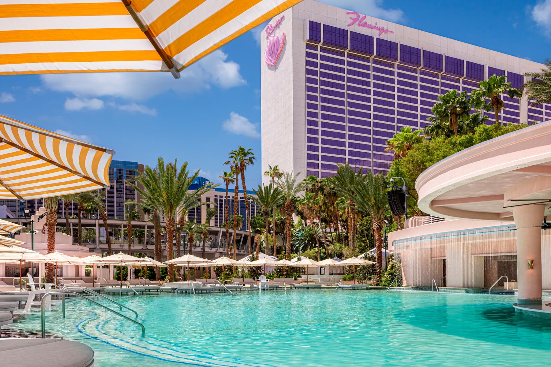Pool at the Flamingo Las Vegas, Trademark Collection by Wyndham in Las Vegas, Nevada