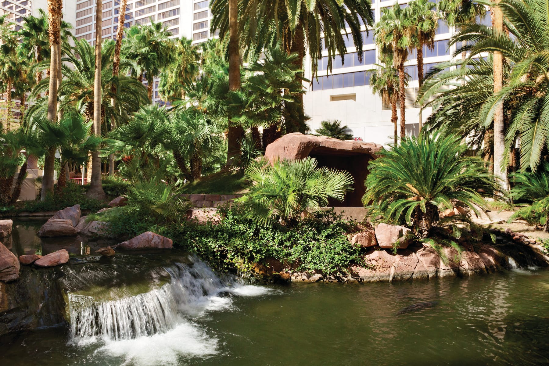 Property amenity at Flamingo Las Vegas, Trademark Collection by Wyndham in Las Vegas, Nevada