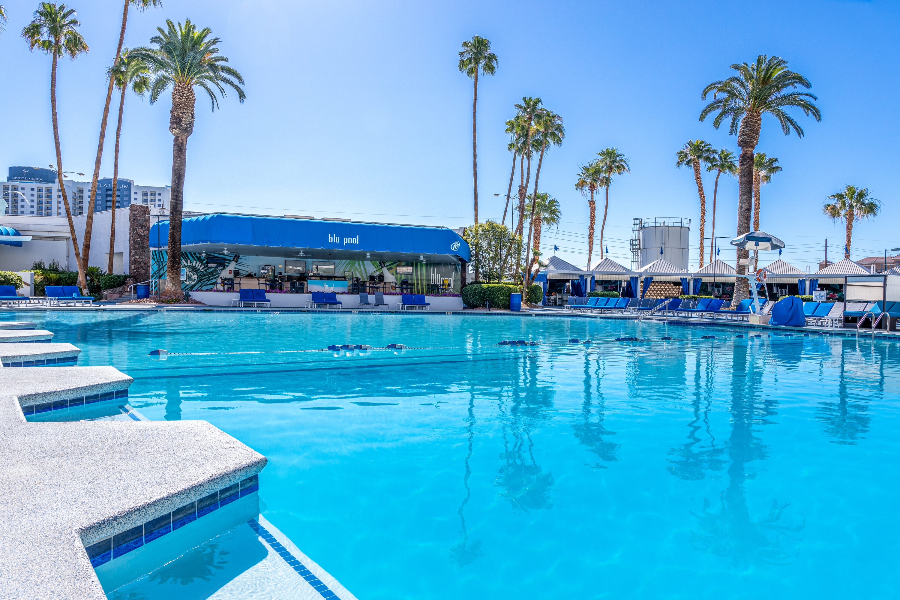 Pool at the Horseshoe Las Vegas Center Strip, Trademark Collection in Las Vegas, Nevada