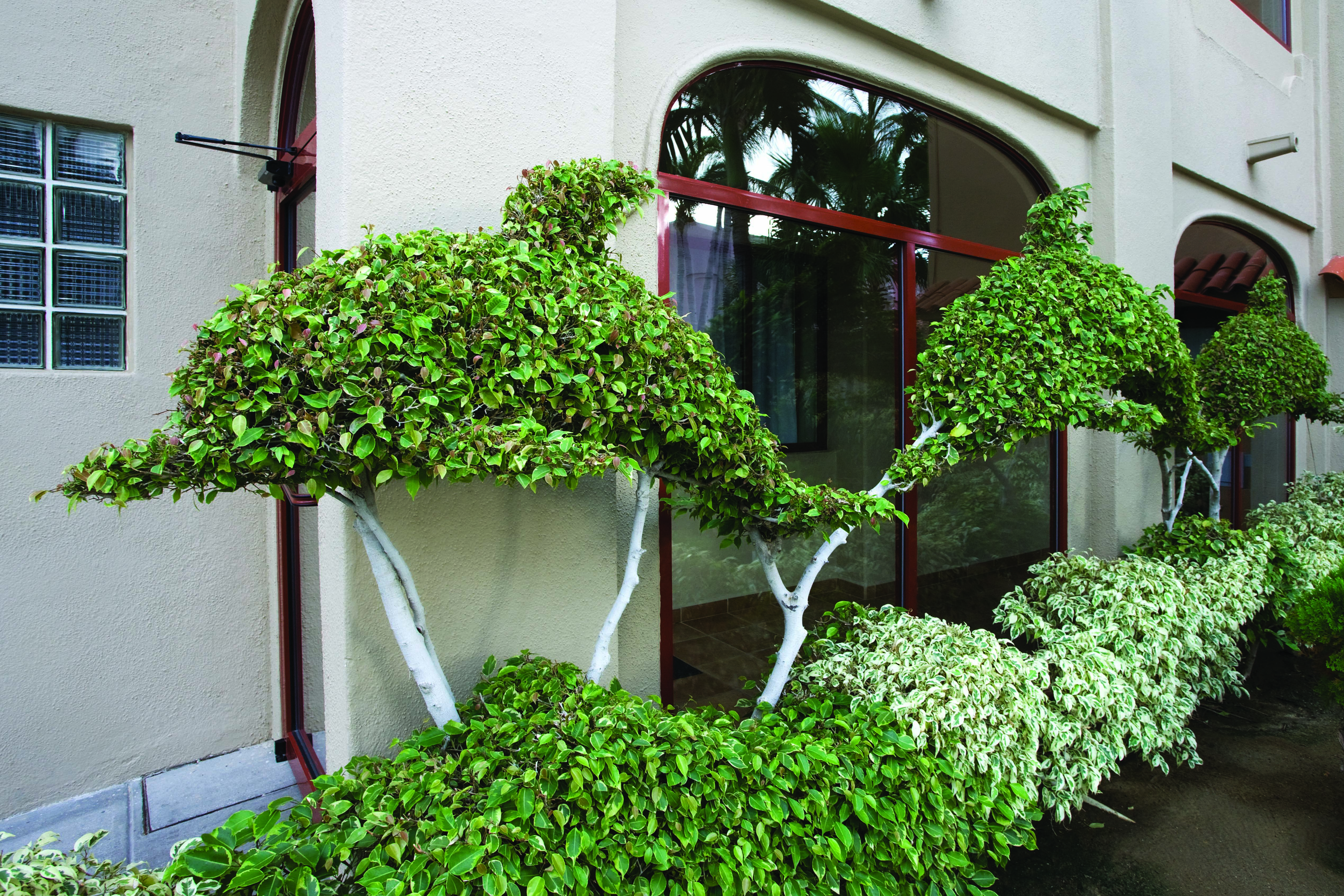 Exterior Day Image of WorldMark Coral Baja hotel in San Jose del Cabo BCS, Other than US/Canada