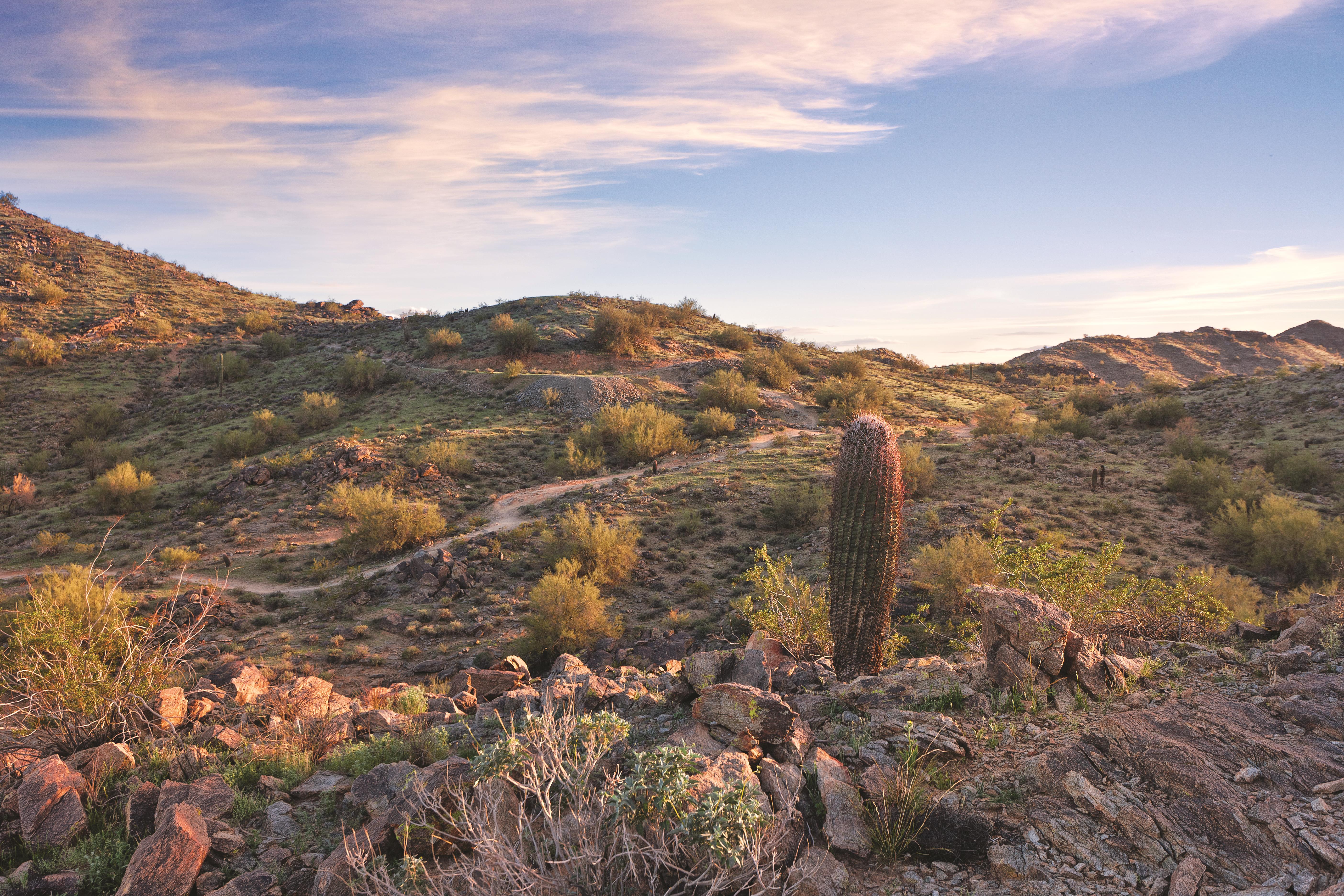 Local attraction at WorldMark Phoenix - South Mountain Preserve in Phoenix, Arizona