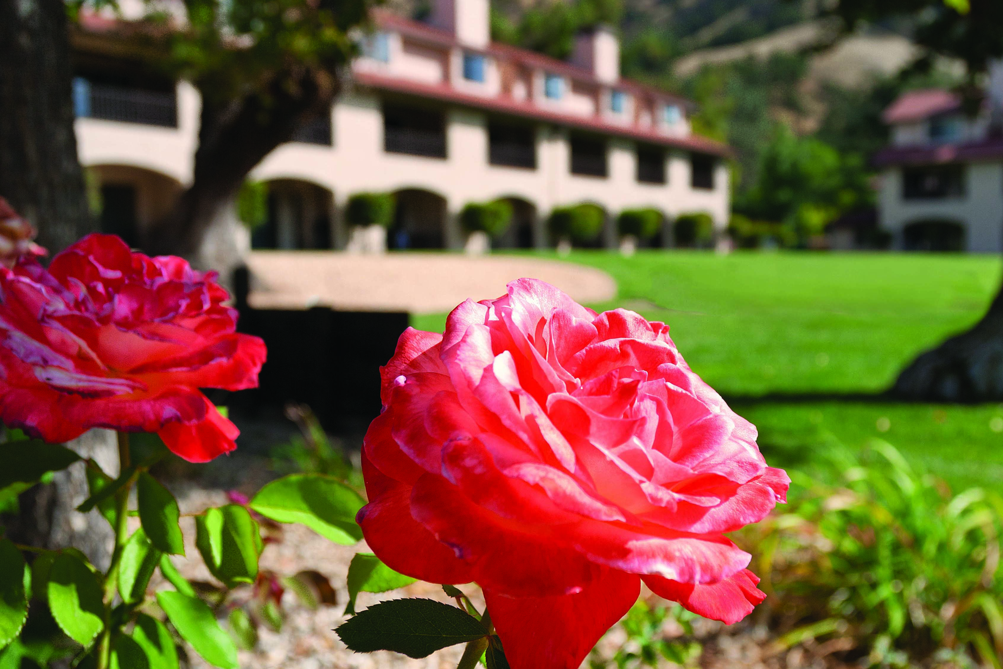 Scenic Image of WorldMark Clear Lake hotel in Nice, California