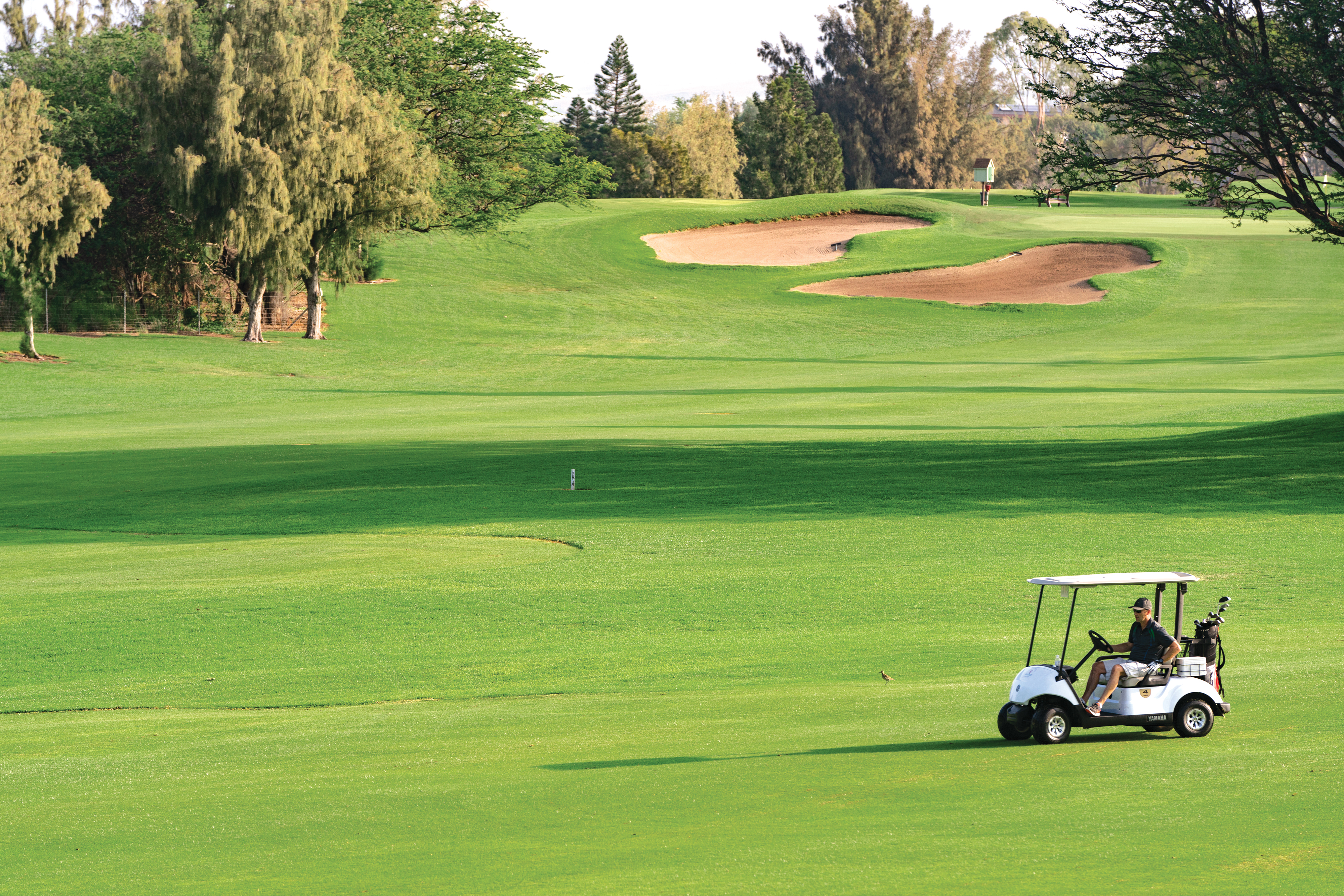 Recreational facility at Paniolo Greens in Waikoloa Village, Hawaii