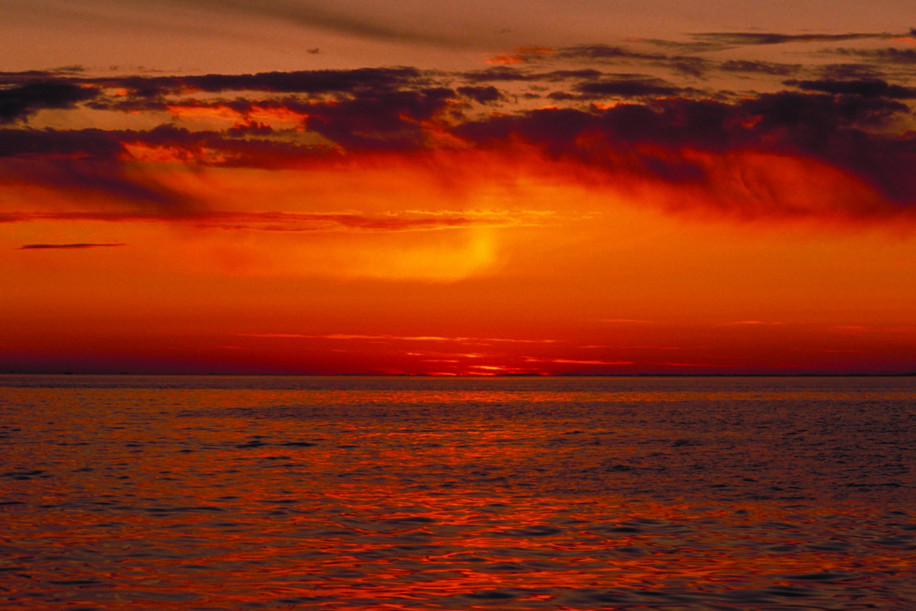 Local attraction at WorldMark Blaine in Birch Bay, Washington