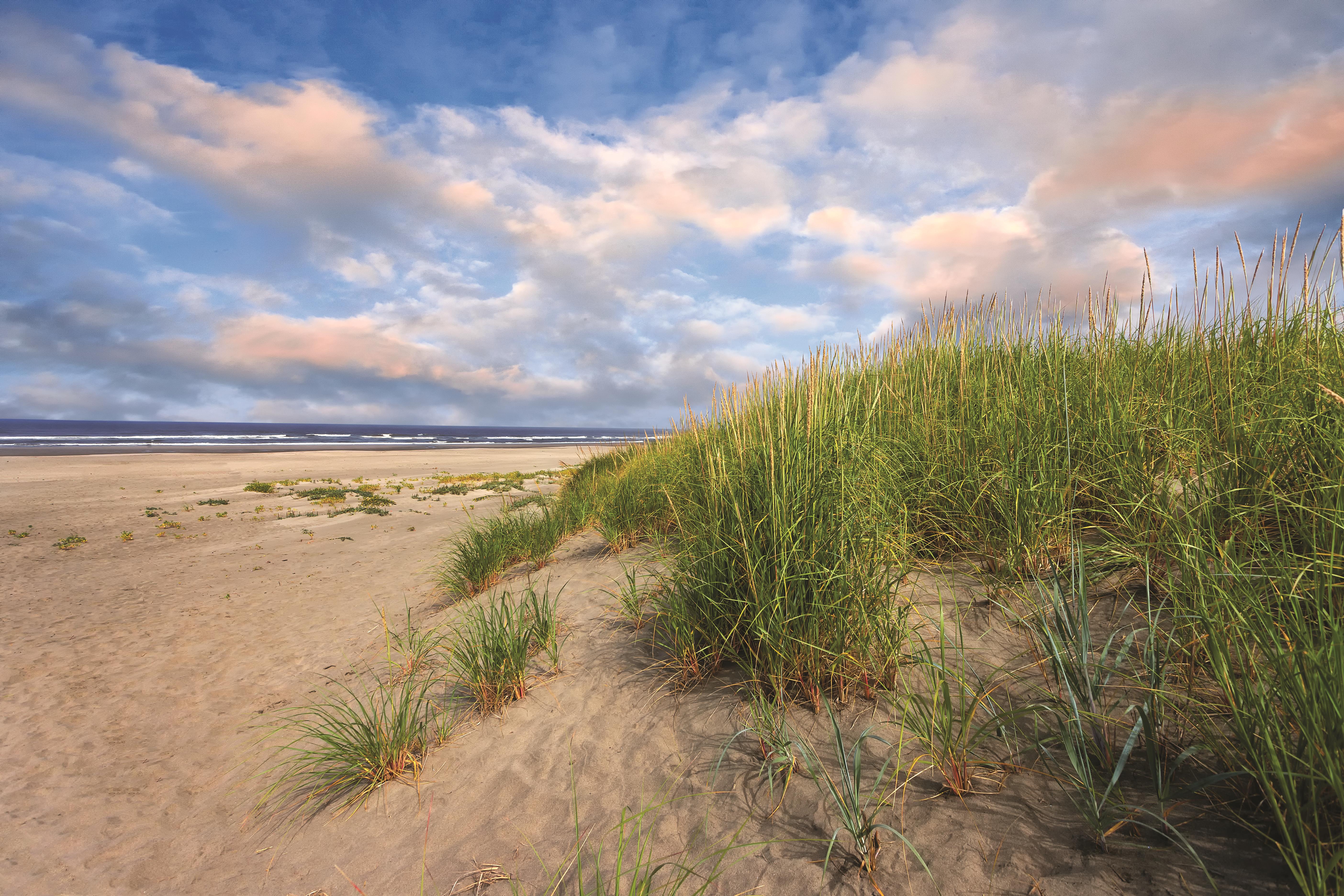 Beach near WorldMark Long Beach in Long Beach, Washington
