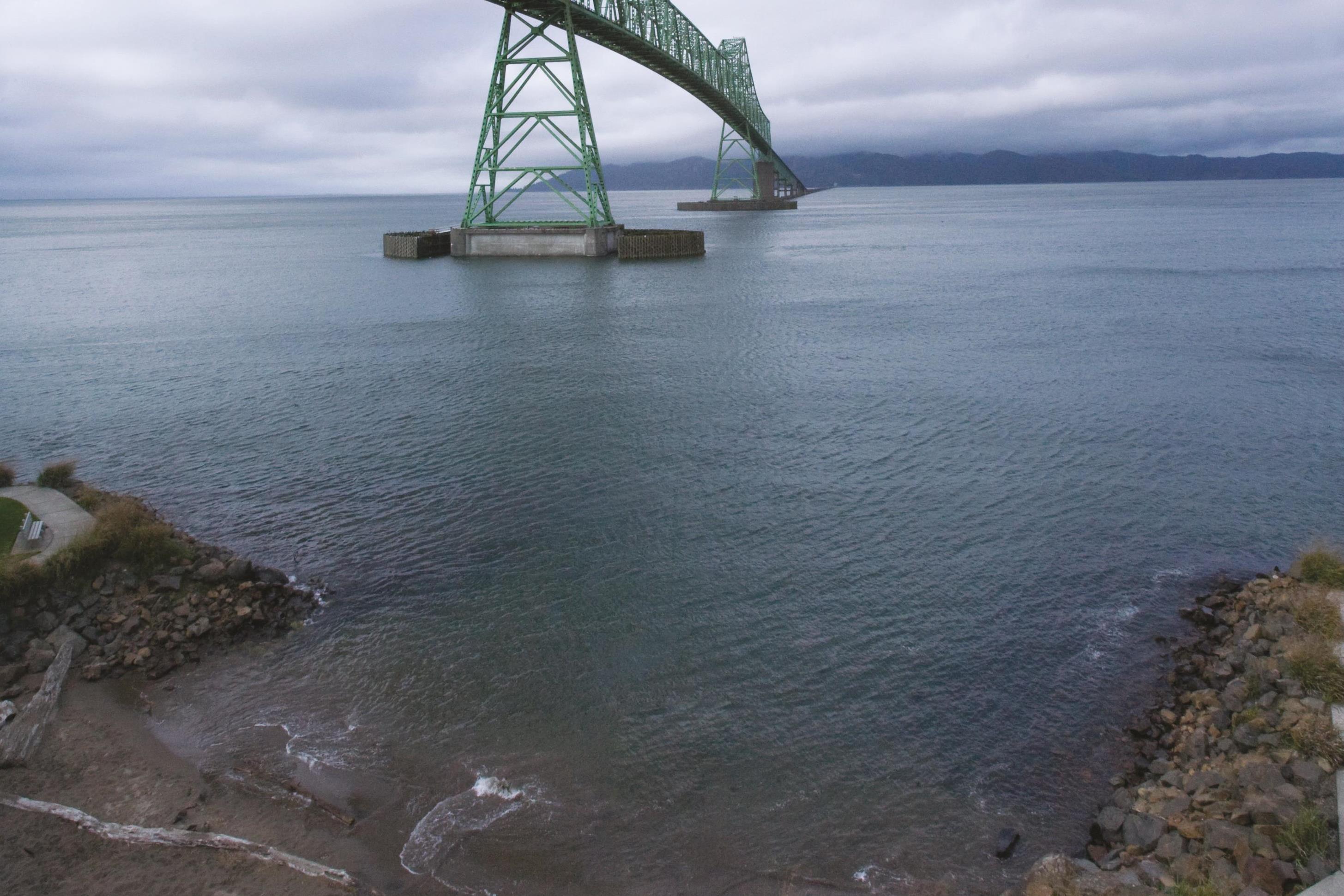 Beach near WorldMark Long Beach in Long Beach, Washington