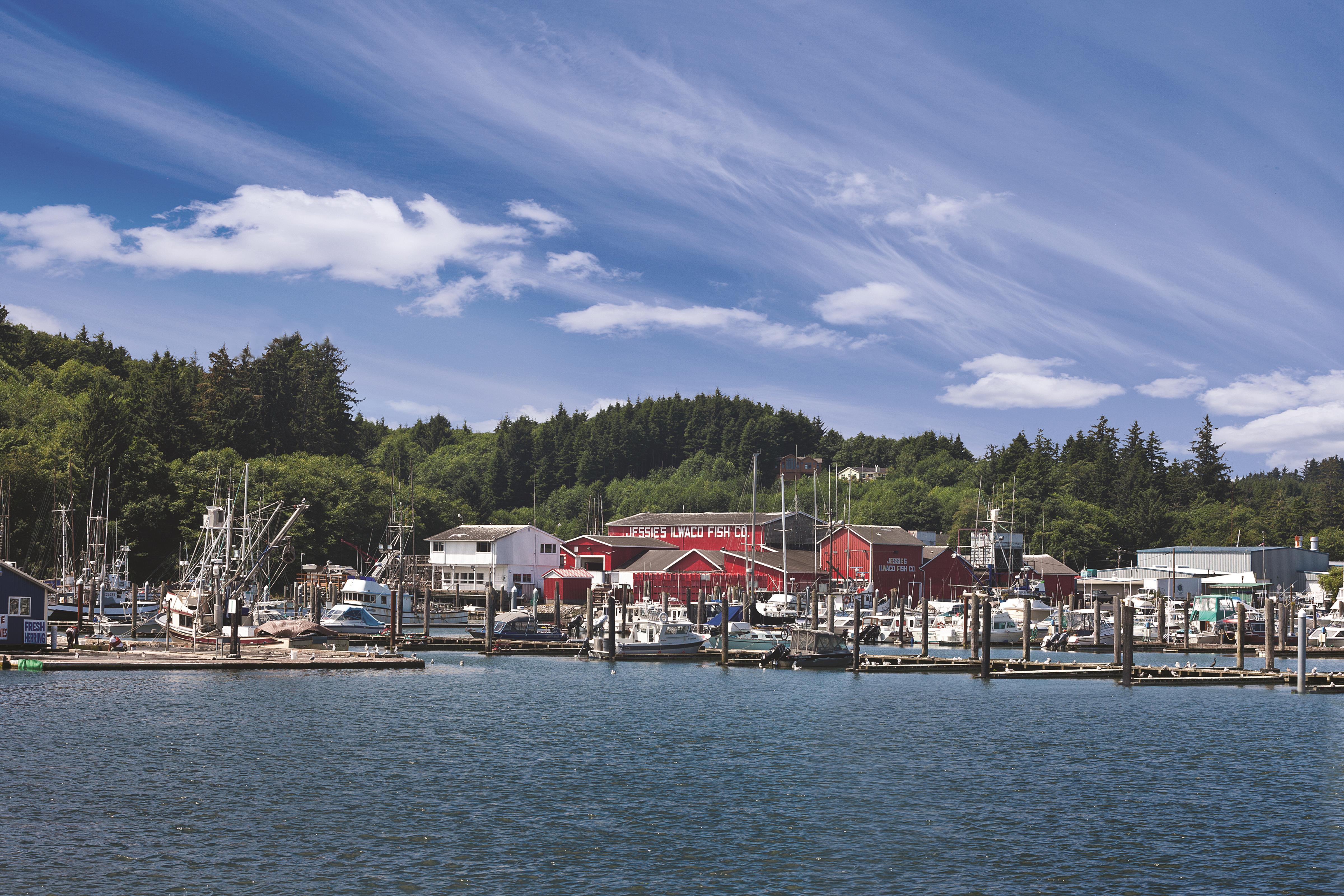 Local attraction at WorldMark Long Beach in Long Beach, Washington