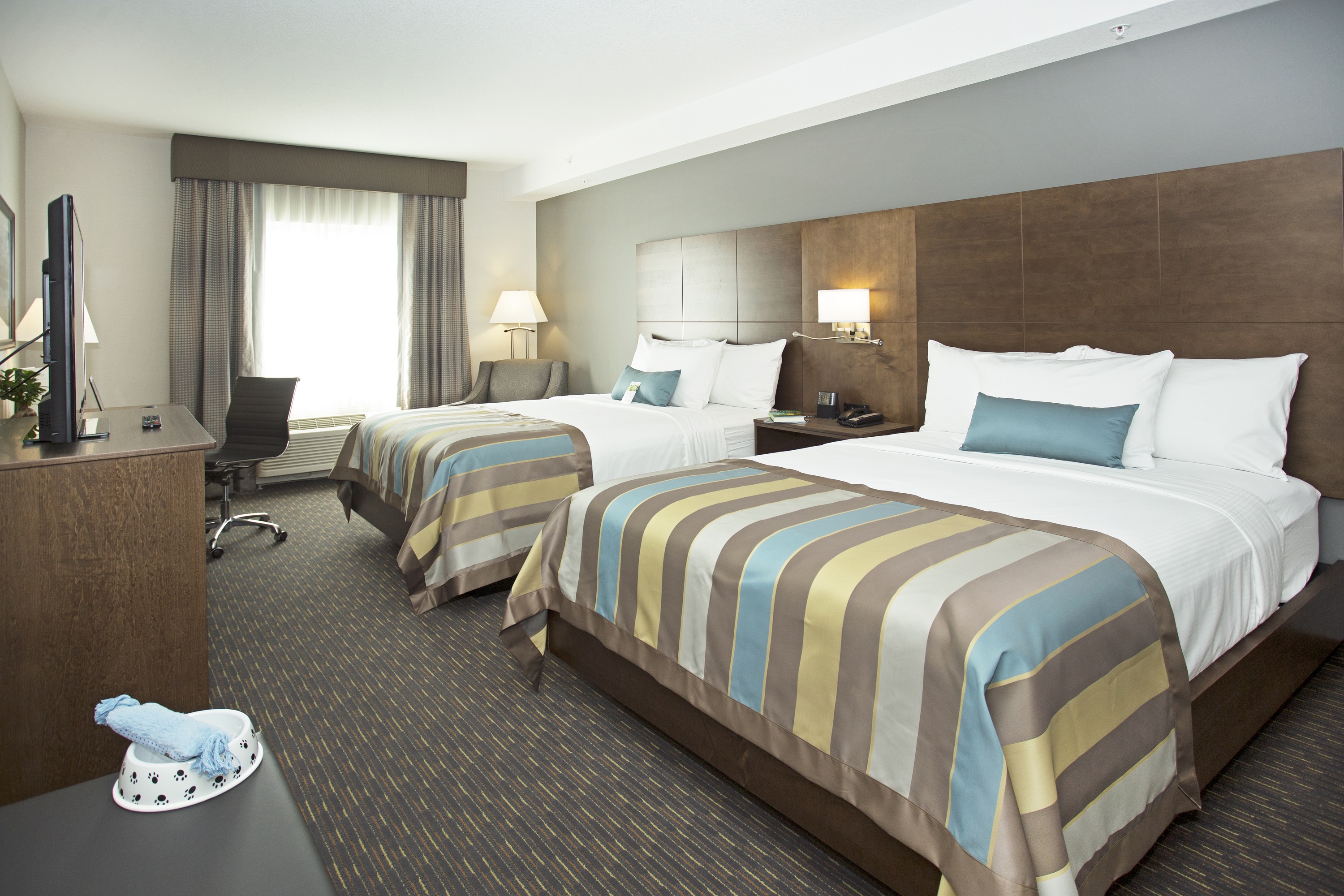 Guest room at the Wingate by Wyndham Calgary Airport in Calgary, Alberta