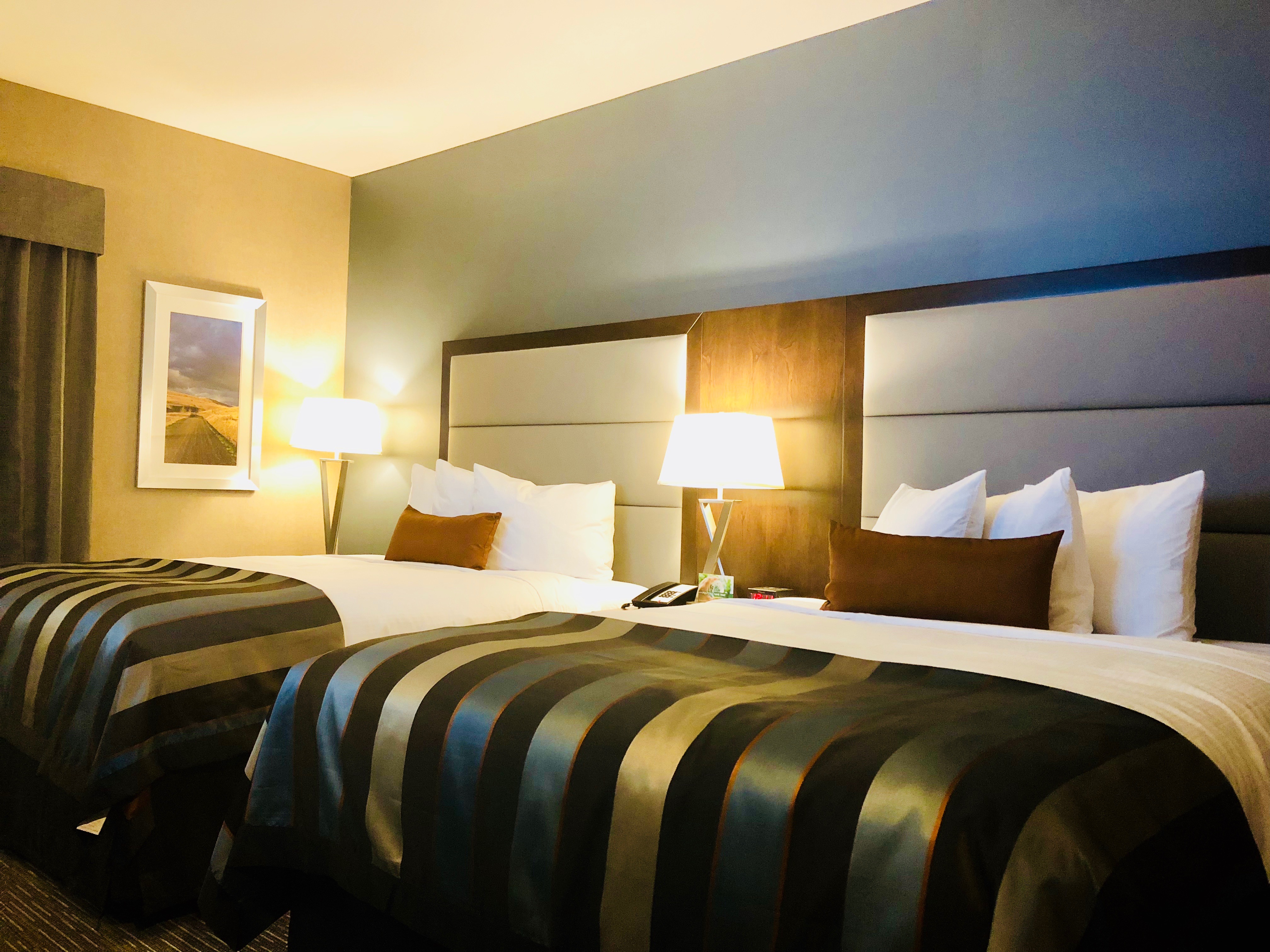 Guest room at the Wingate by Wyndham Kamloops in Kamloops, British Columbia