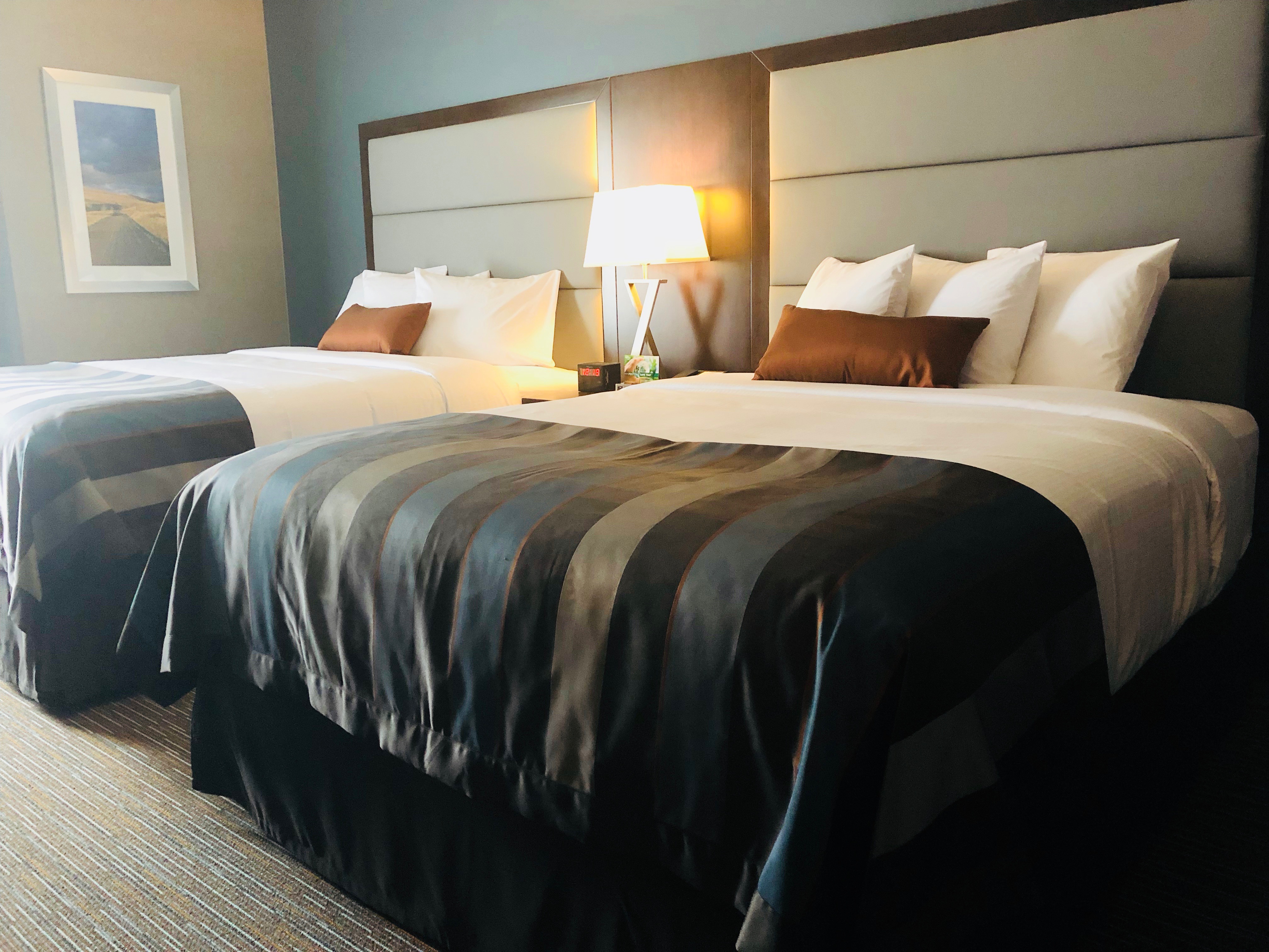 Guest room at the Wingate by Wyndham Kamloops in Kamloops, British Columbia
