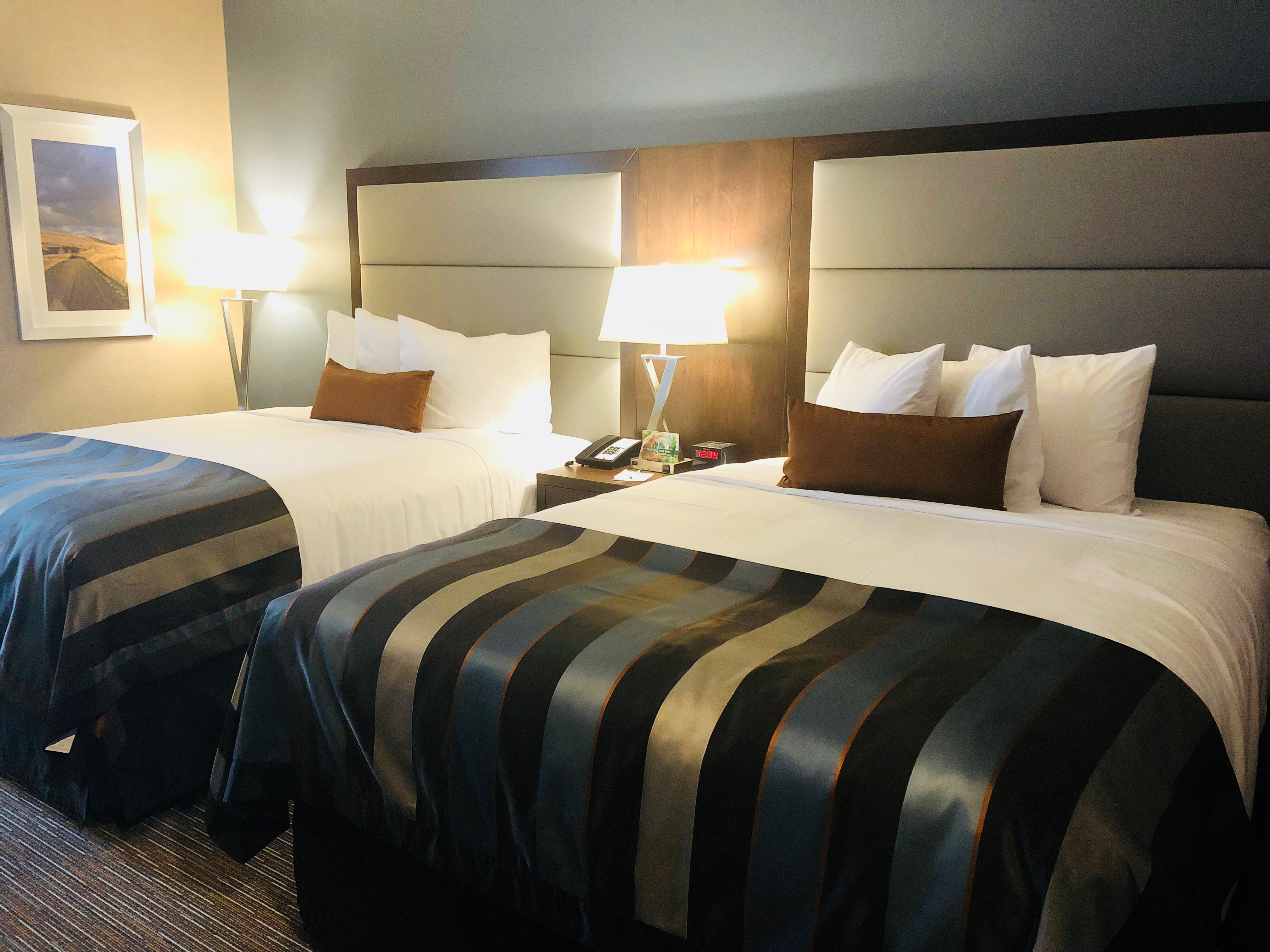 Guest room at the Wingate by Wyndham Kamloops in Kamloops, British Columbia