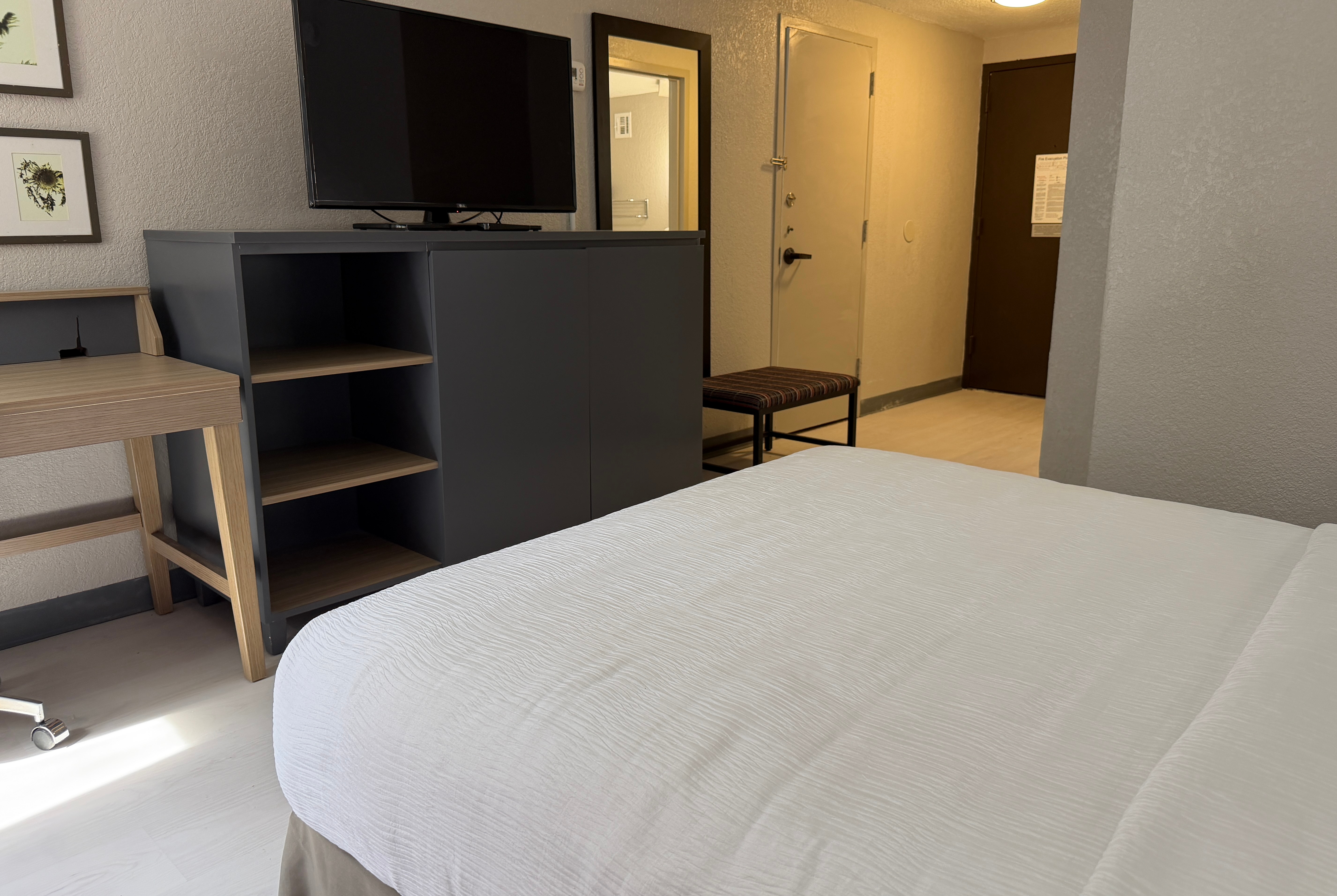 Guest room at the Wingate by Wyndham Jacksonville FL in Jacksonville, Florida