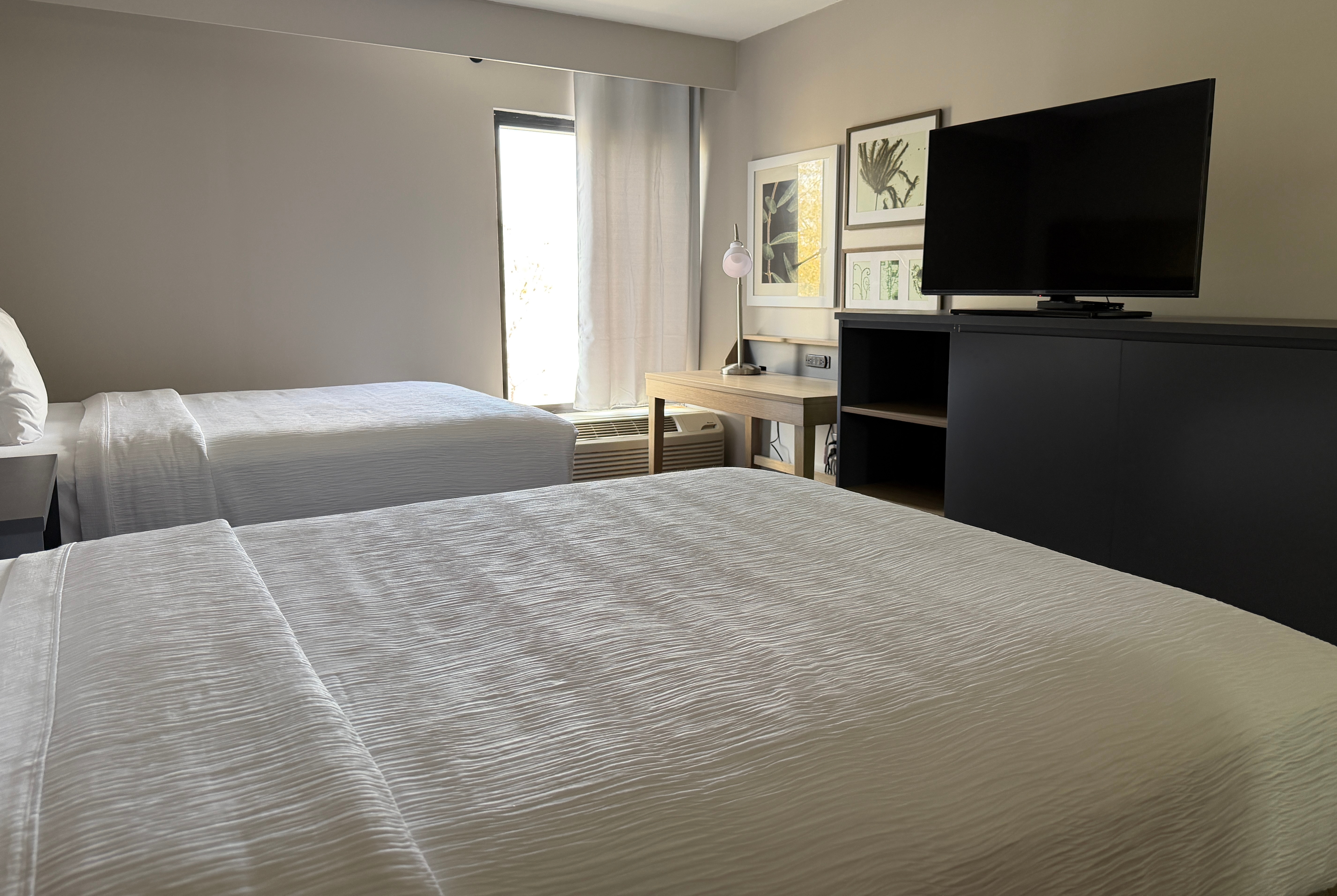 Guest room at the Wingate by Wyndham Jacksonville FL in Jacksonville, Florida