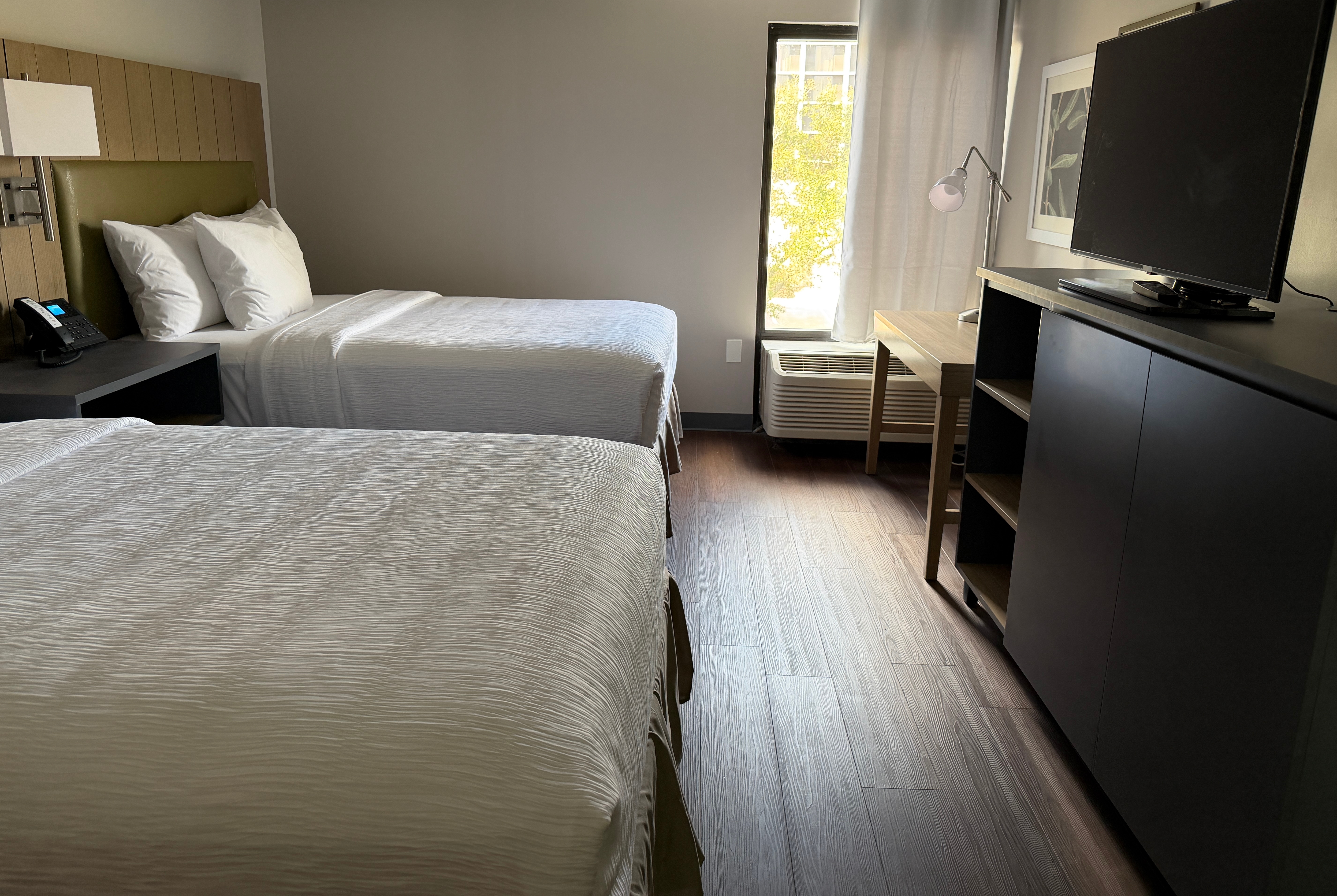 Guest room at the Wingate by Wyndham Jacksonville FL in Jacksonville, Florida