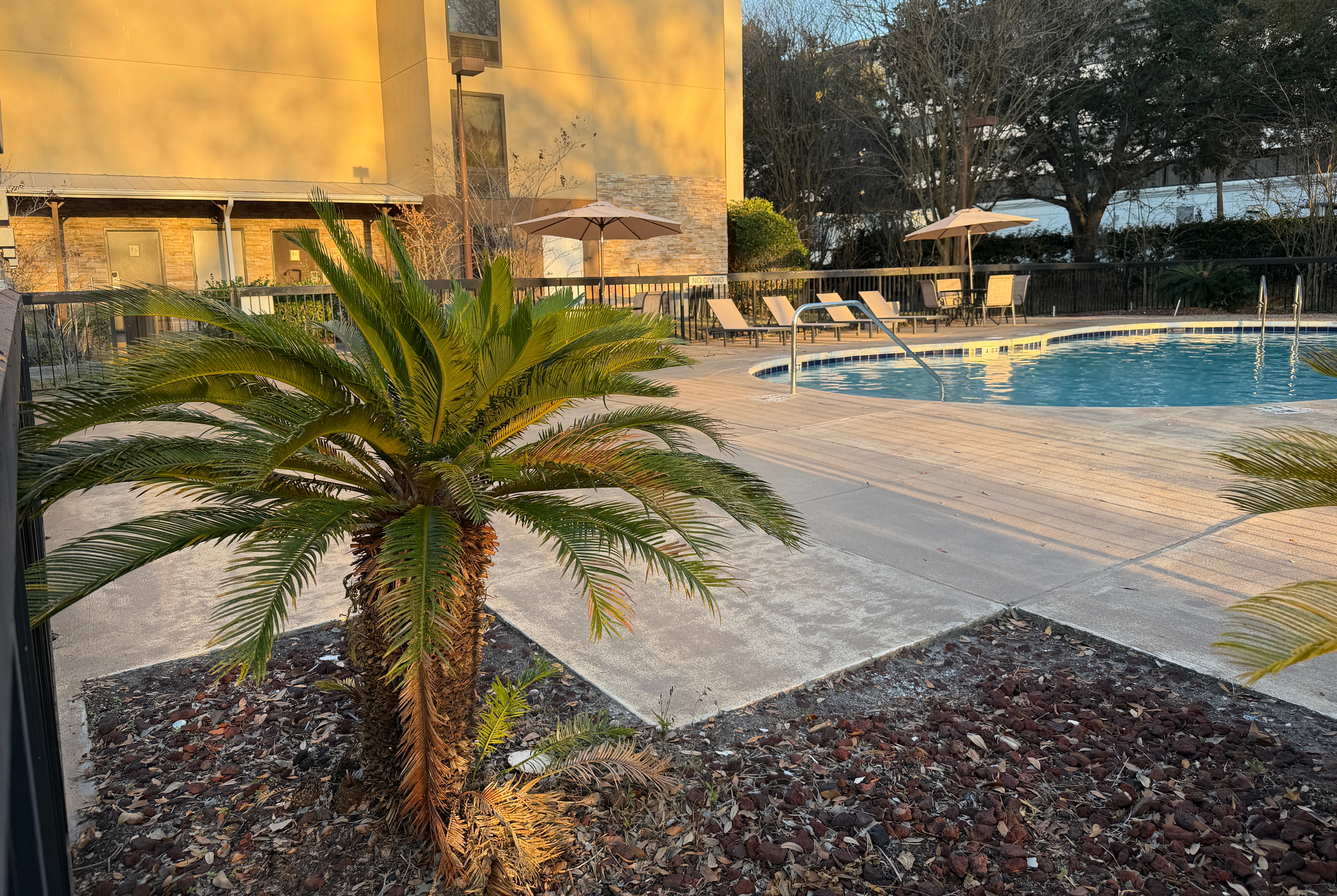 Pool at the Wingate by Wyndham Jacksonville FL in Jacksonville, Florida
