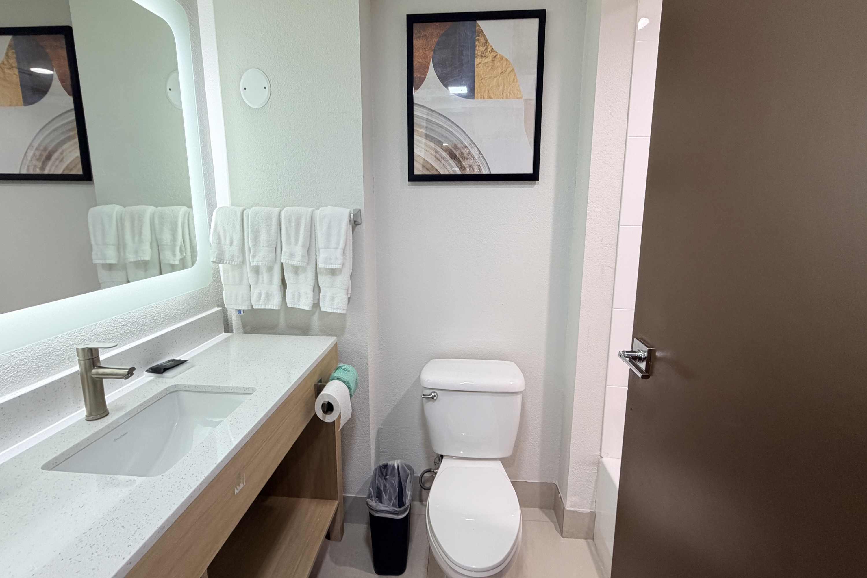 Guest room bath at the Wingate by Wyndham Athens Near Downtown in Athens, Georgia