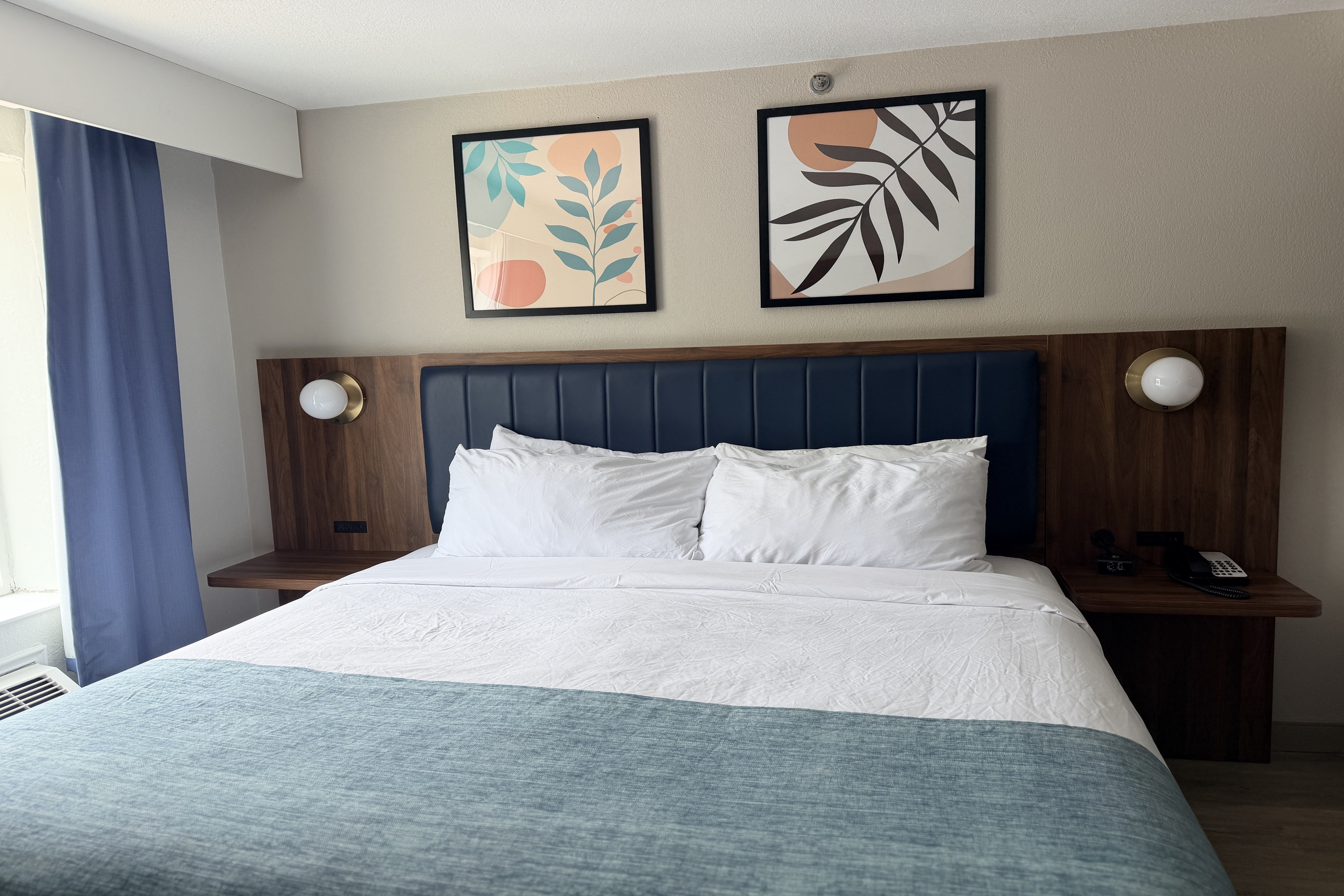 Guest room at the Wingate by Wyndham Athens Near Downtown in Athens, Georgia