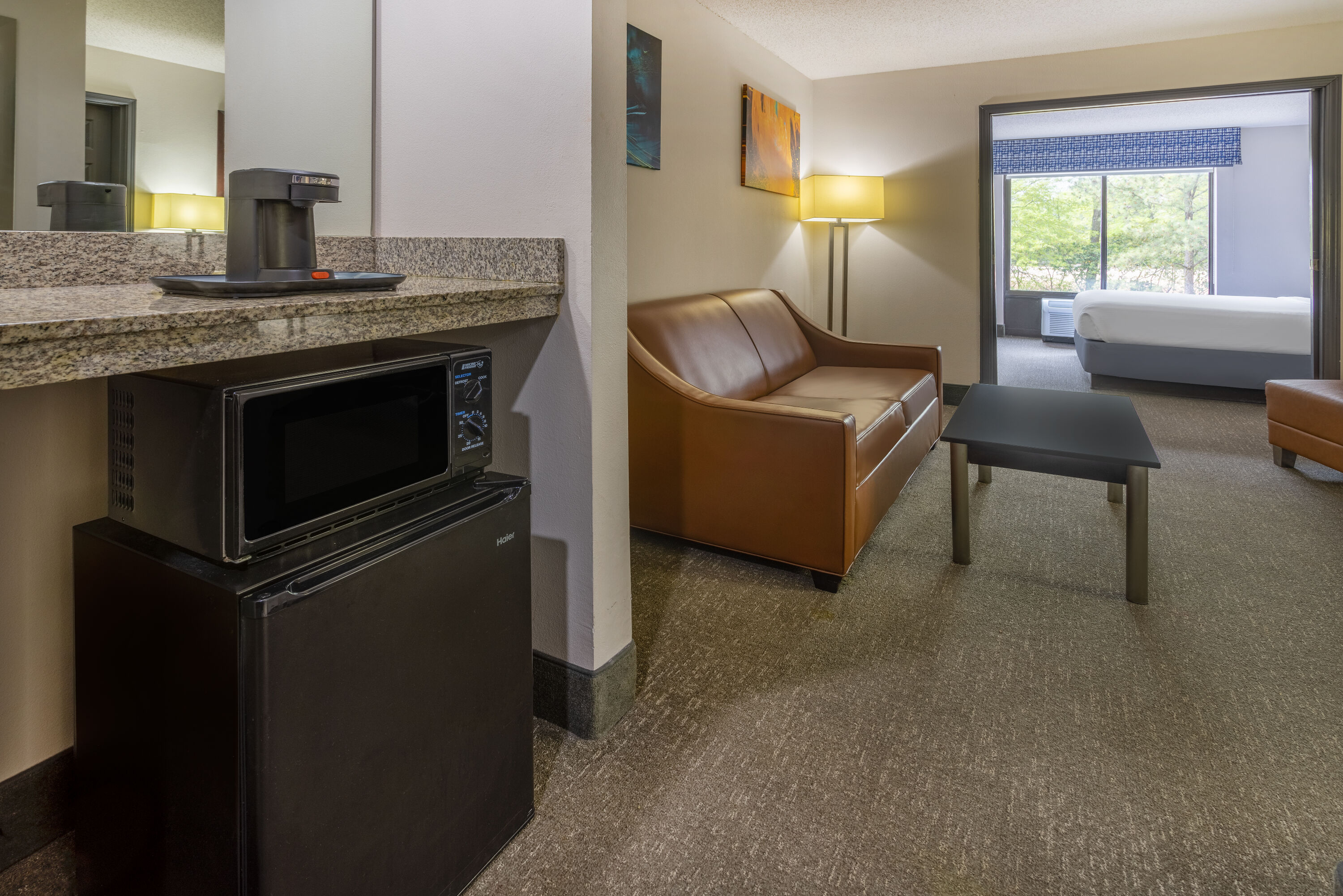 Wingate by Wyndham Atlanta Galleria/Ballpark suite in Atlanta, Georgia
