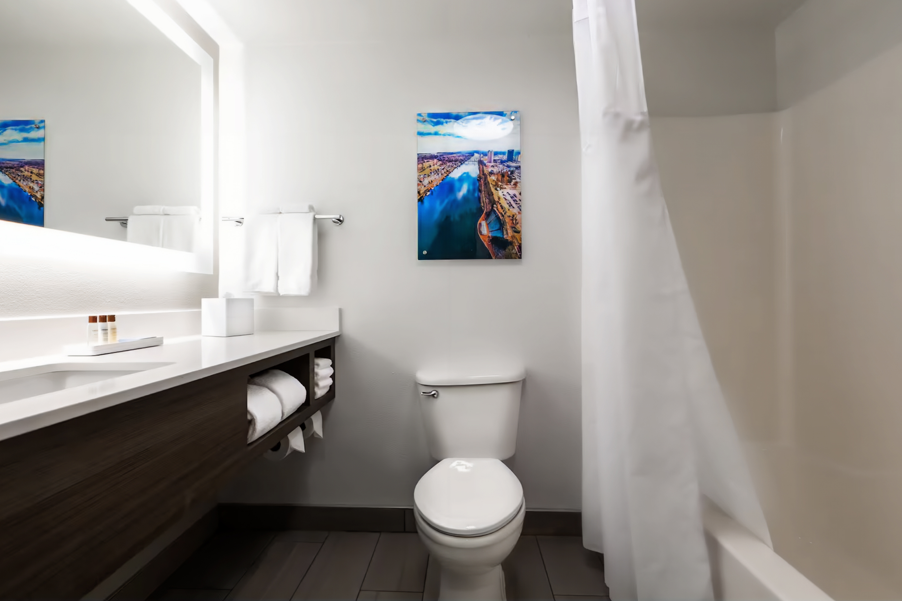 Guest room bath at the Wingate by Wyndham Augusta Washington Road in Augusta, Georgia