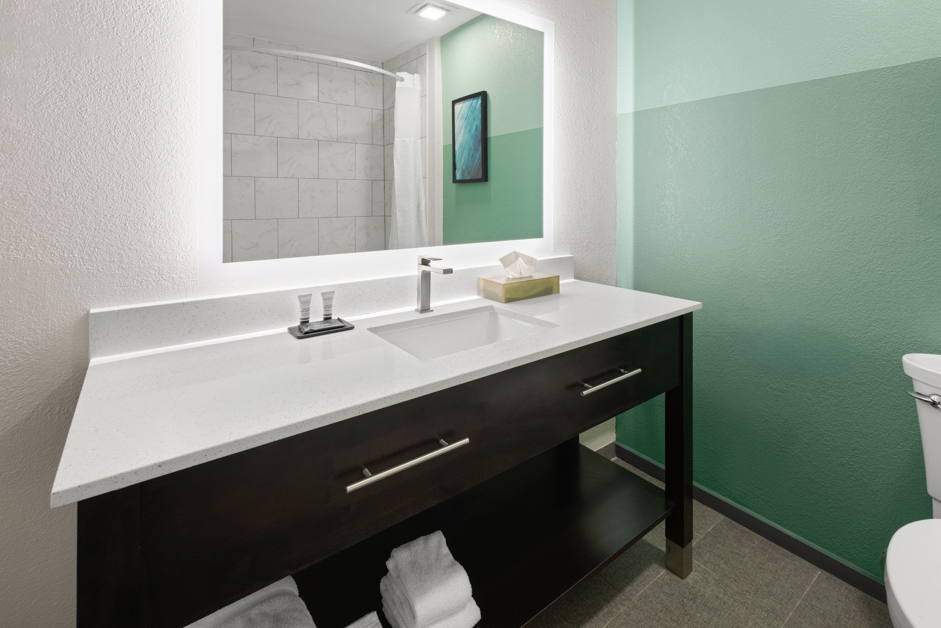 Guest room bath at the Wingate by Wyndham Kings Bay Naval Base in Kingsland, Georgia