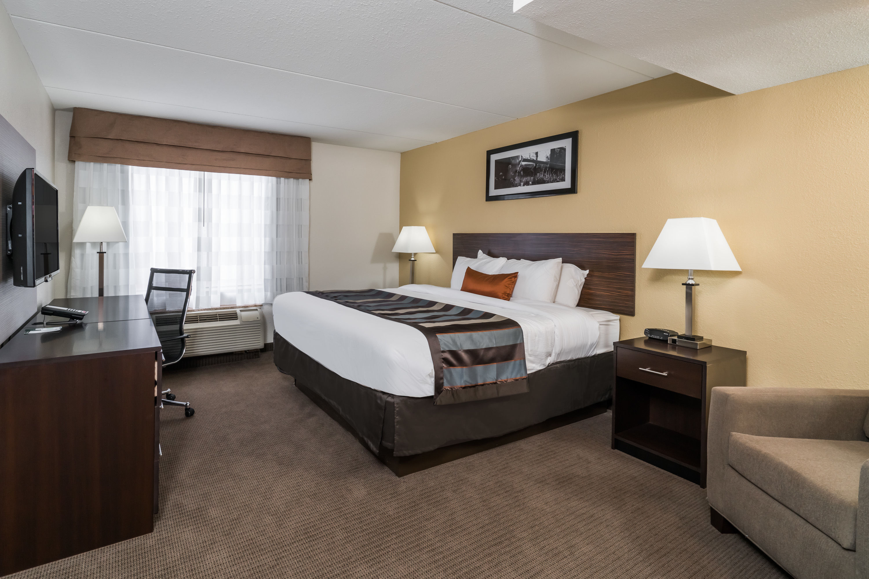 Wingate by Wyndham Bowling Green suite in Bowling Green, Kentucky