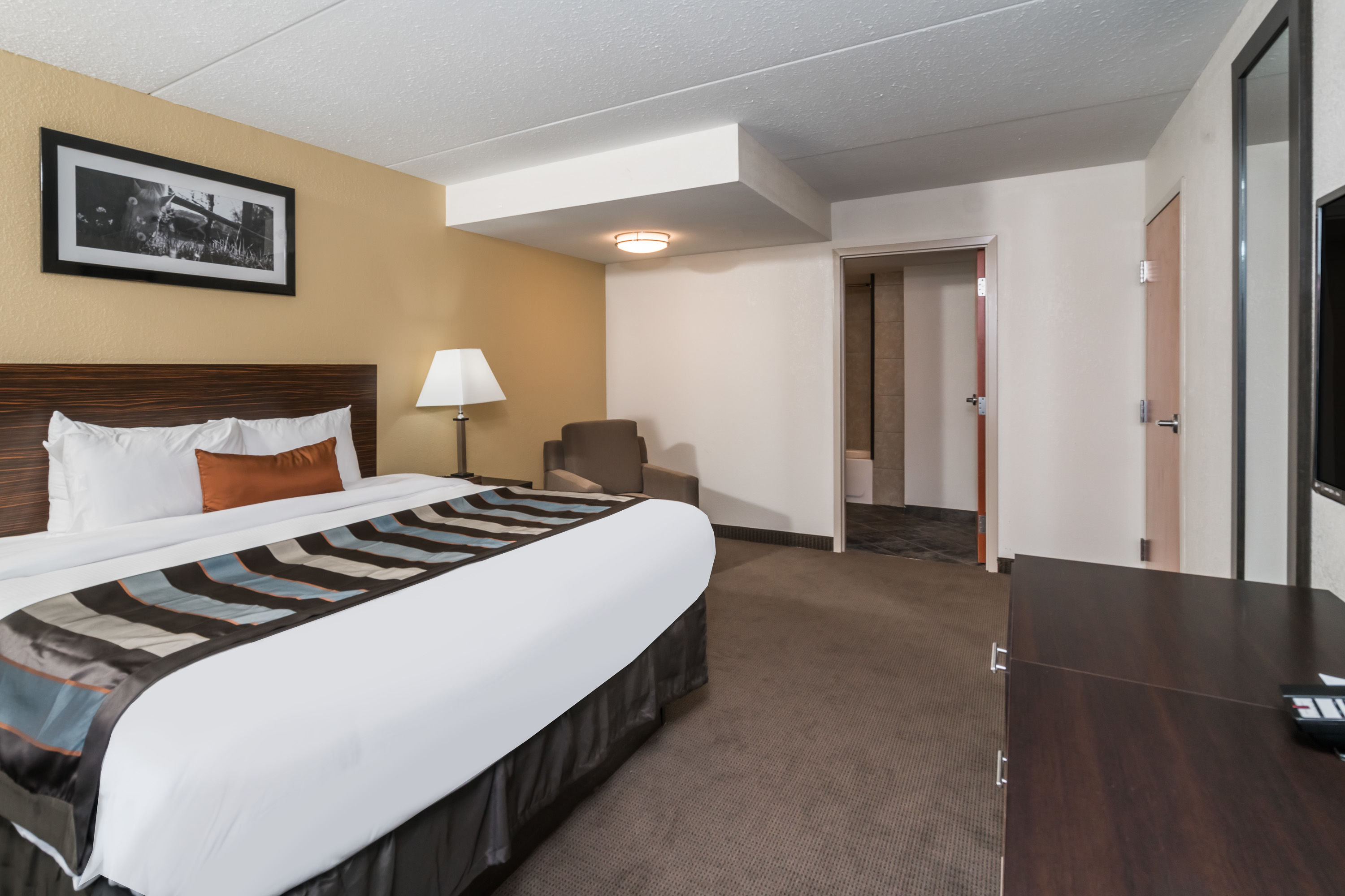 Wingate by Wyndham Bowling Green suite in Bowling Green, Kentucky