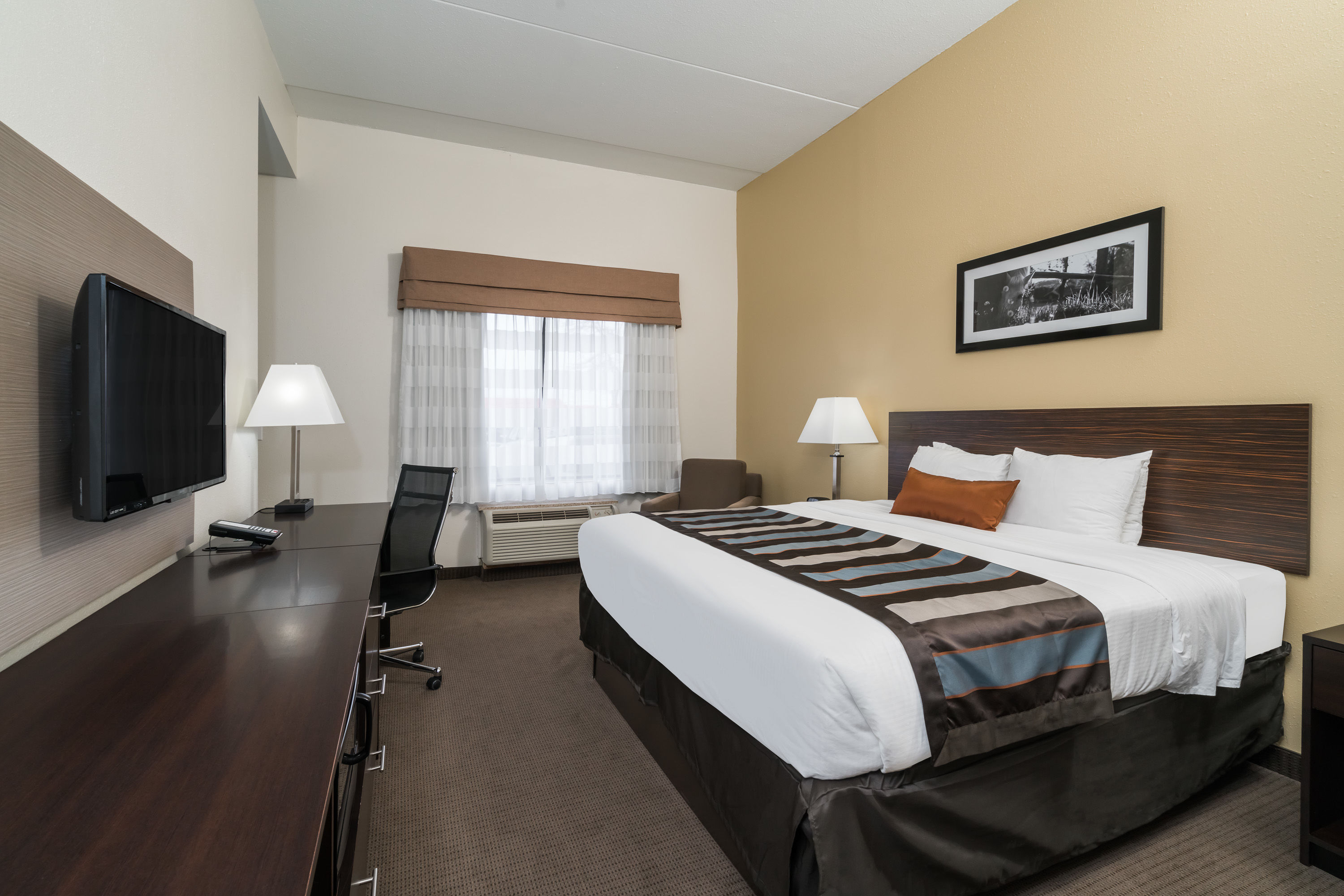 Wingate by Wyndham Bowling Green suite in Bowling Green, Kentucky