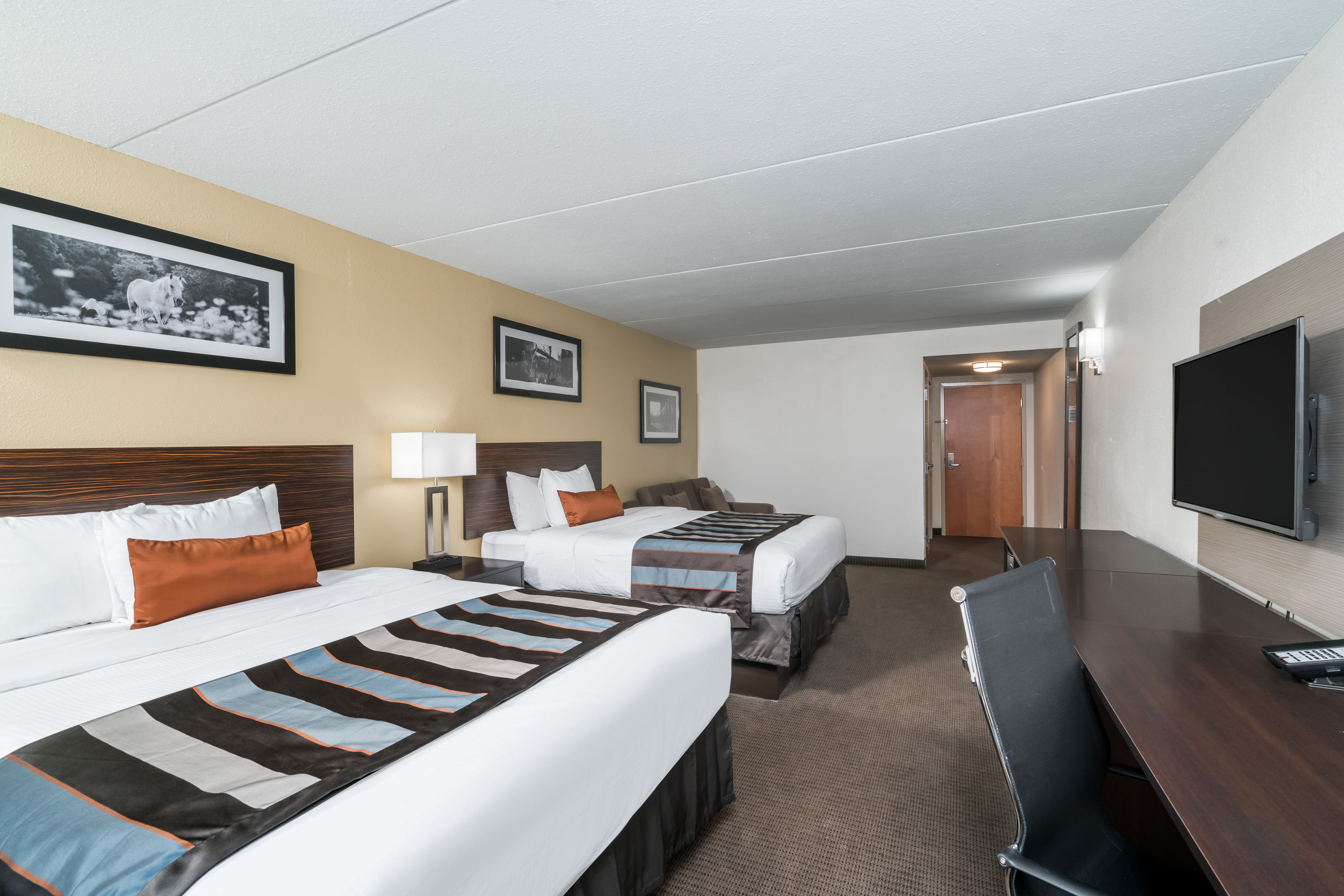 Wingate by Wyndham Bowling Green suite in Bowling Green, Kentucky