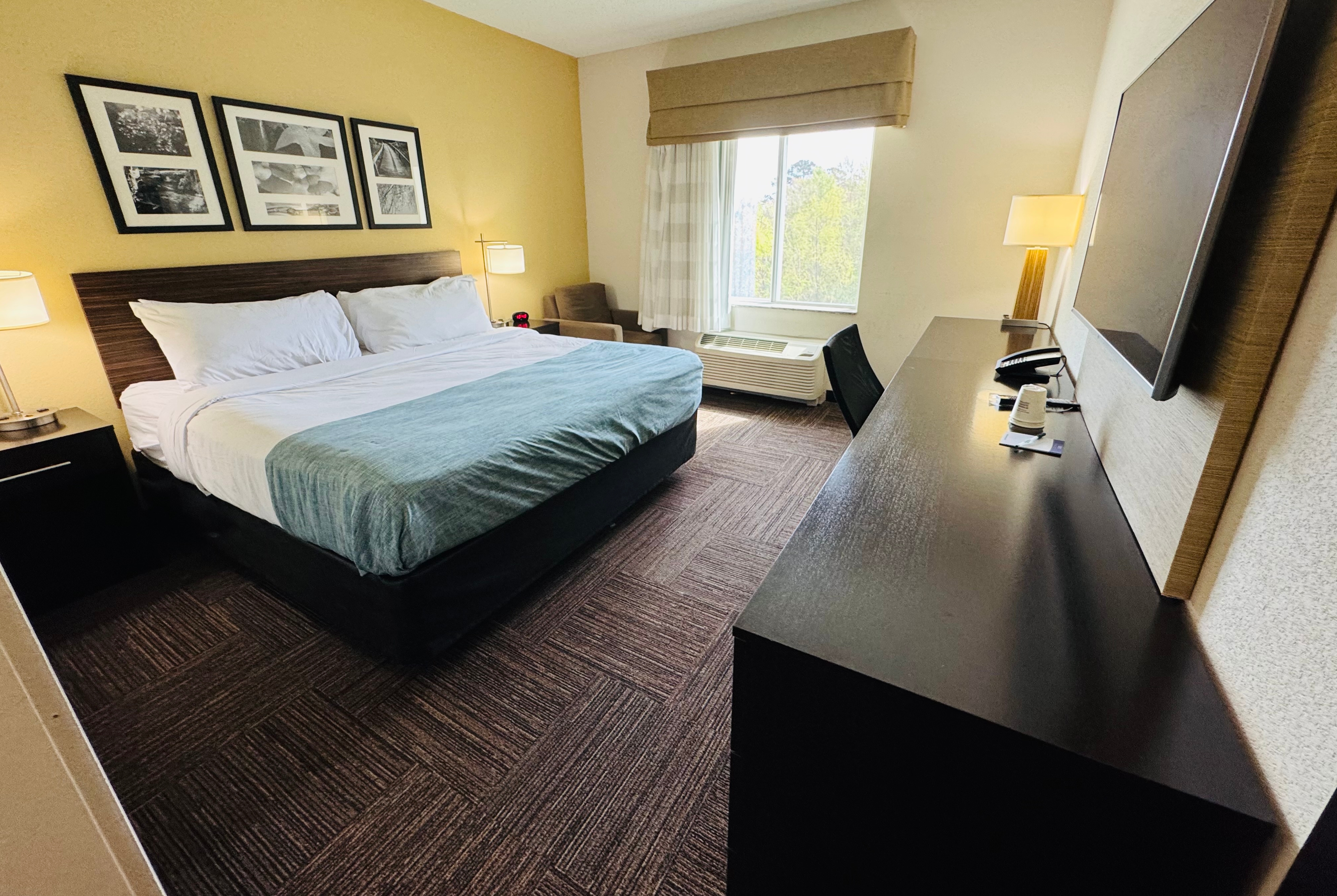 King bed guest room at the Wingate by Wyndham Jonesboro/Hodge in Jonesboro, Louisiana