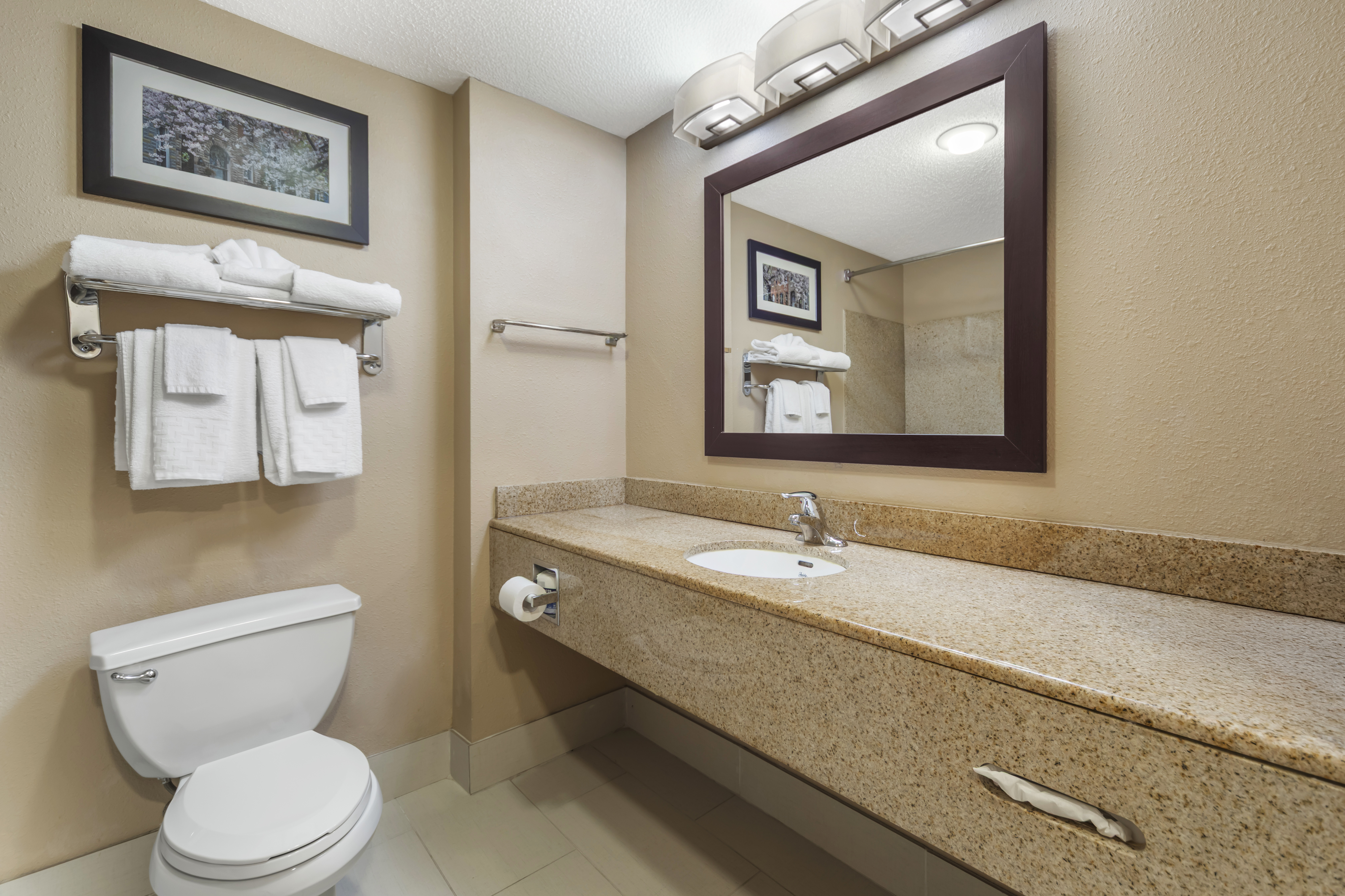 Guest room bath at the Wingate by Wyndham North East in North East, Maryland