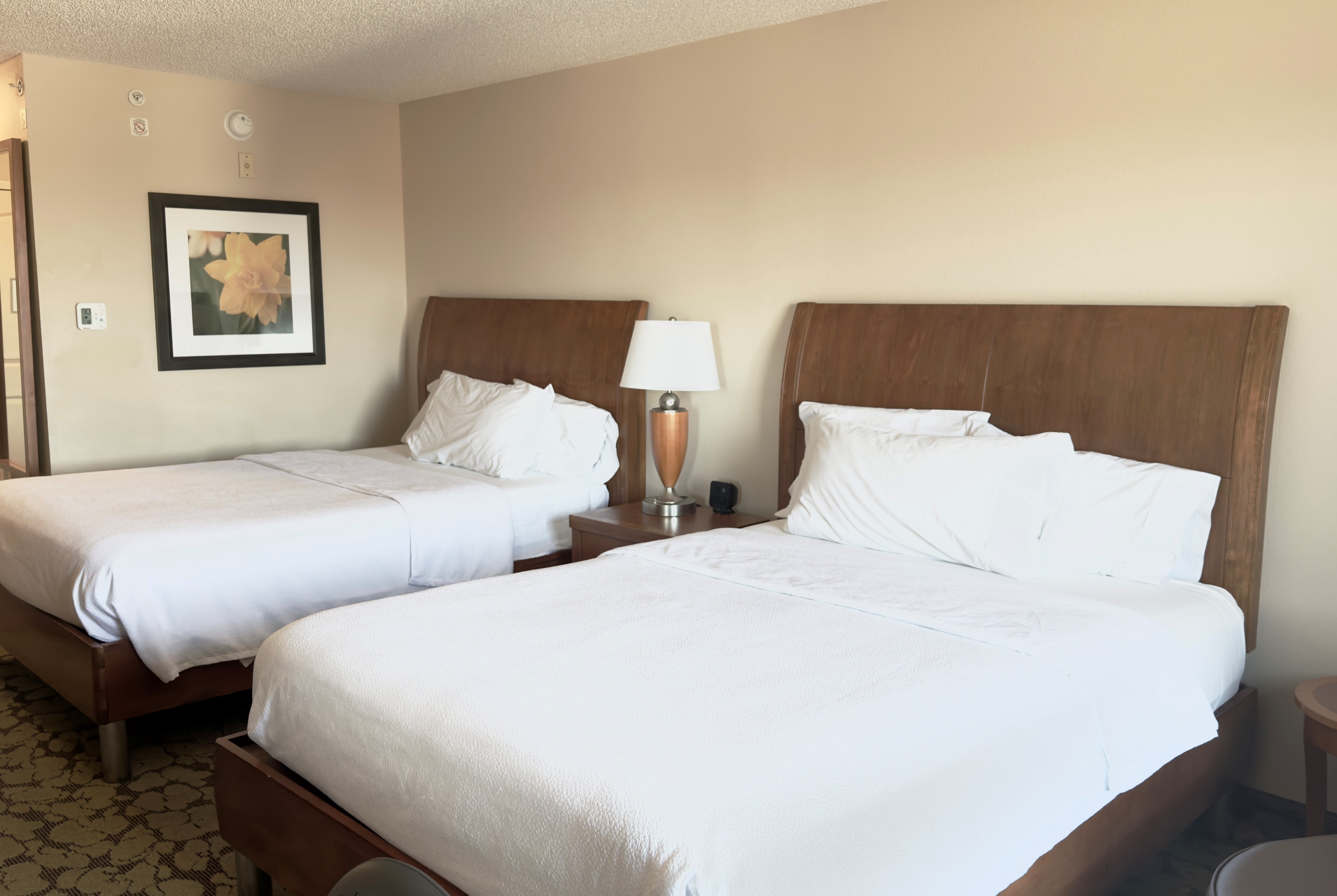 Guest room at the Wingate by Wyndham St. Paul/Oakdale/Woodbury in Oakdale, Minnesota