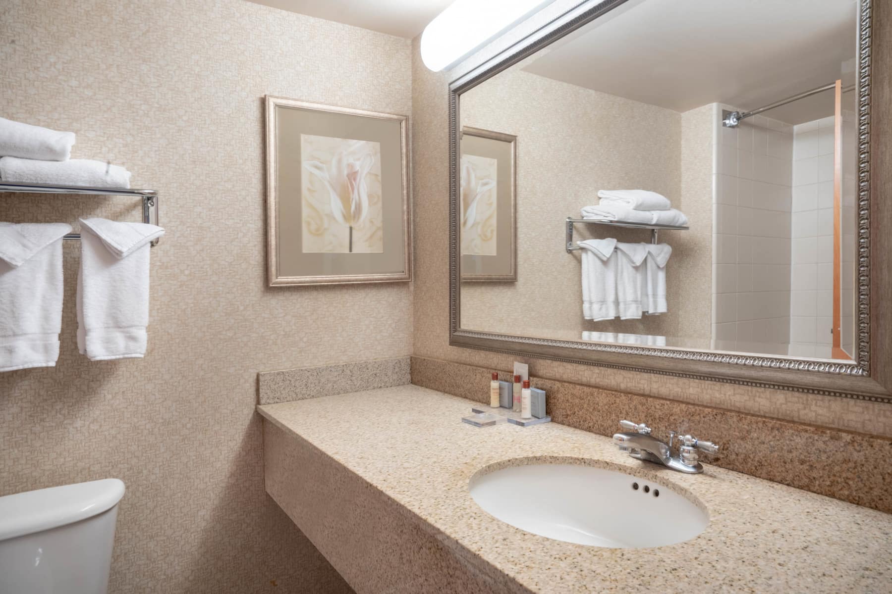 Guest room bath at the Wingate By Wyndham Charlotte Airport I-85/I-485 in Charlotte, North Carolina