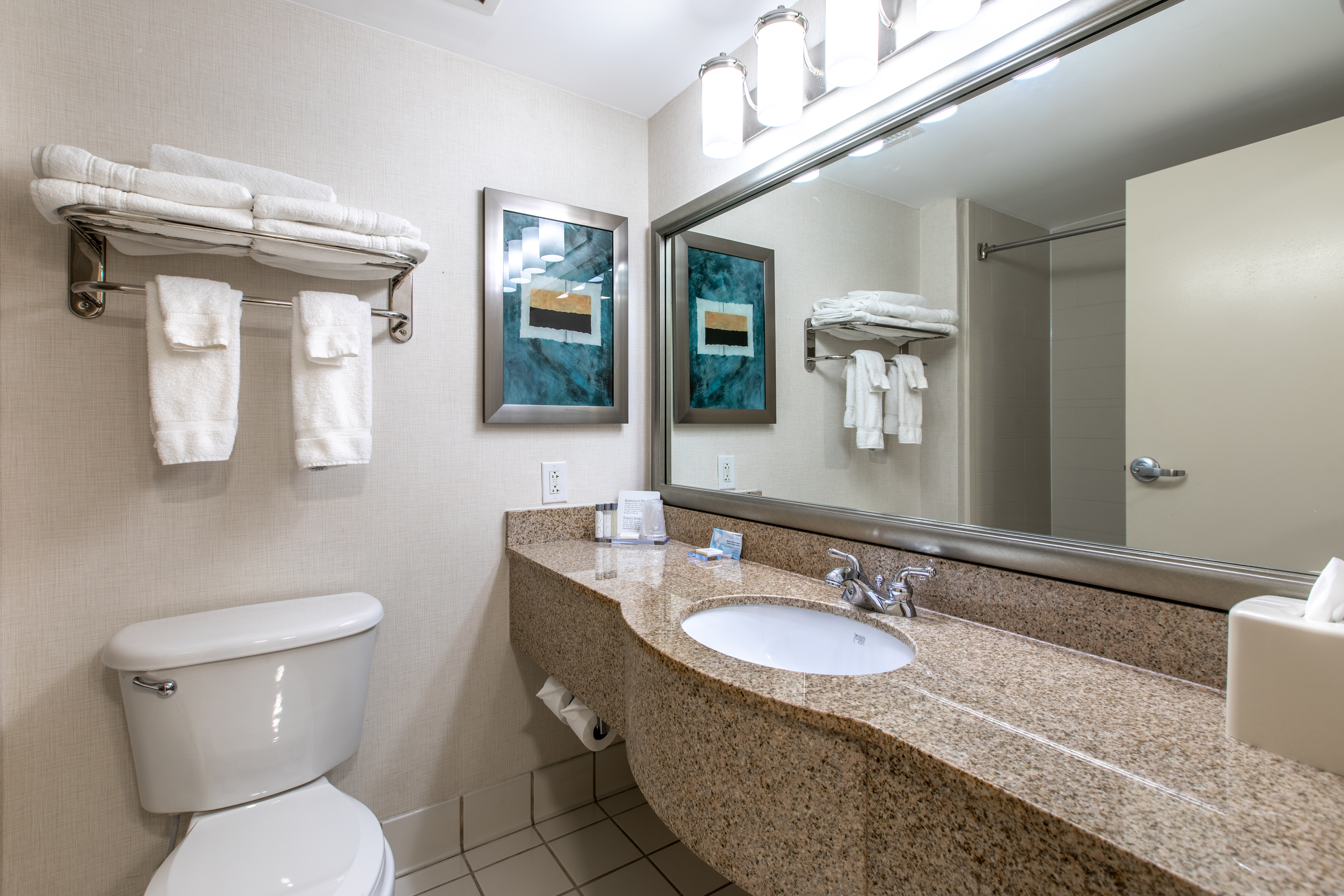Guest room bath at the Wingate by Wyndham Charlotte Speedway/Concord in Concord, North Carolina
