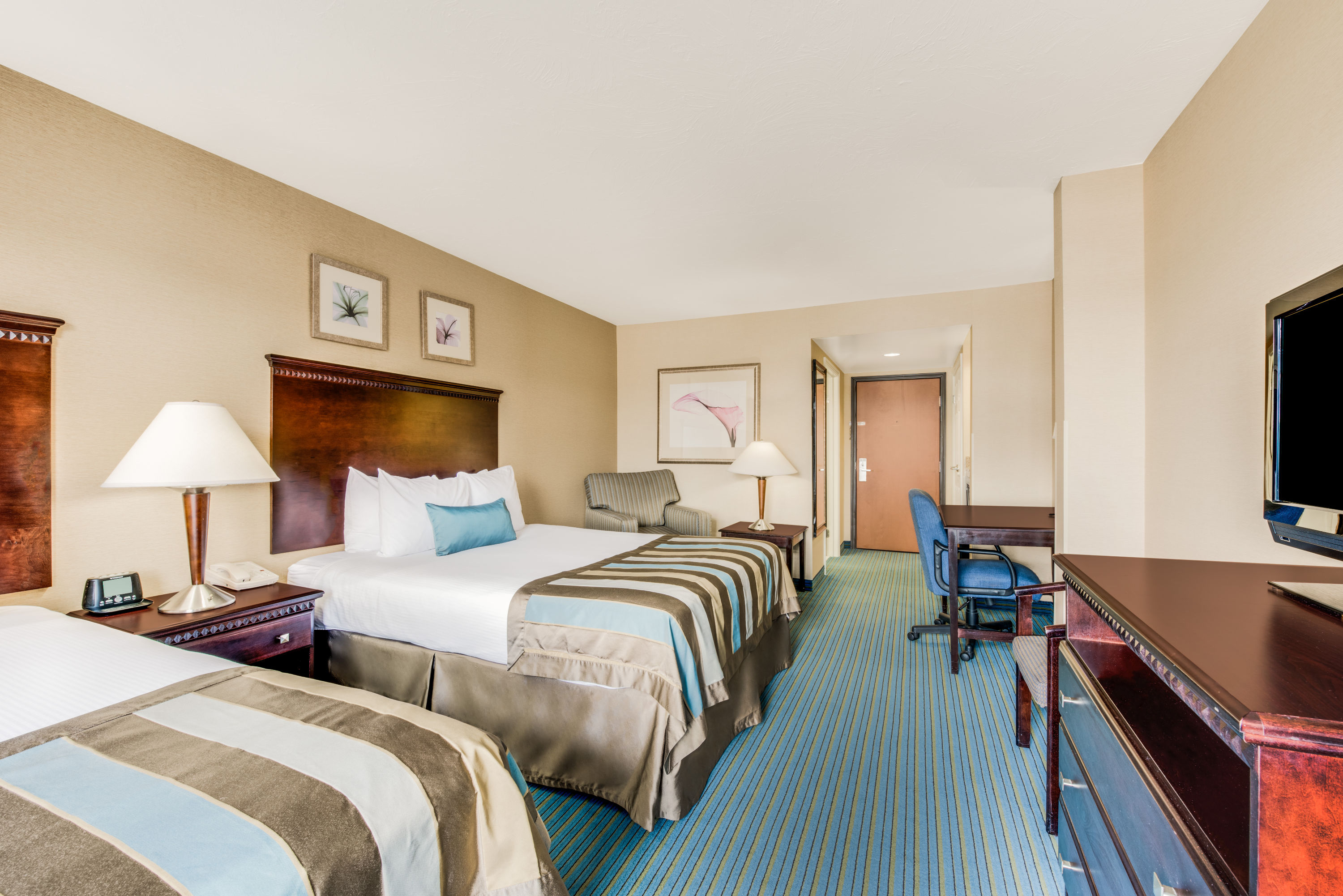 Guest room at the Wingate by Wyndham York in York, Pennsylvania