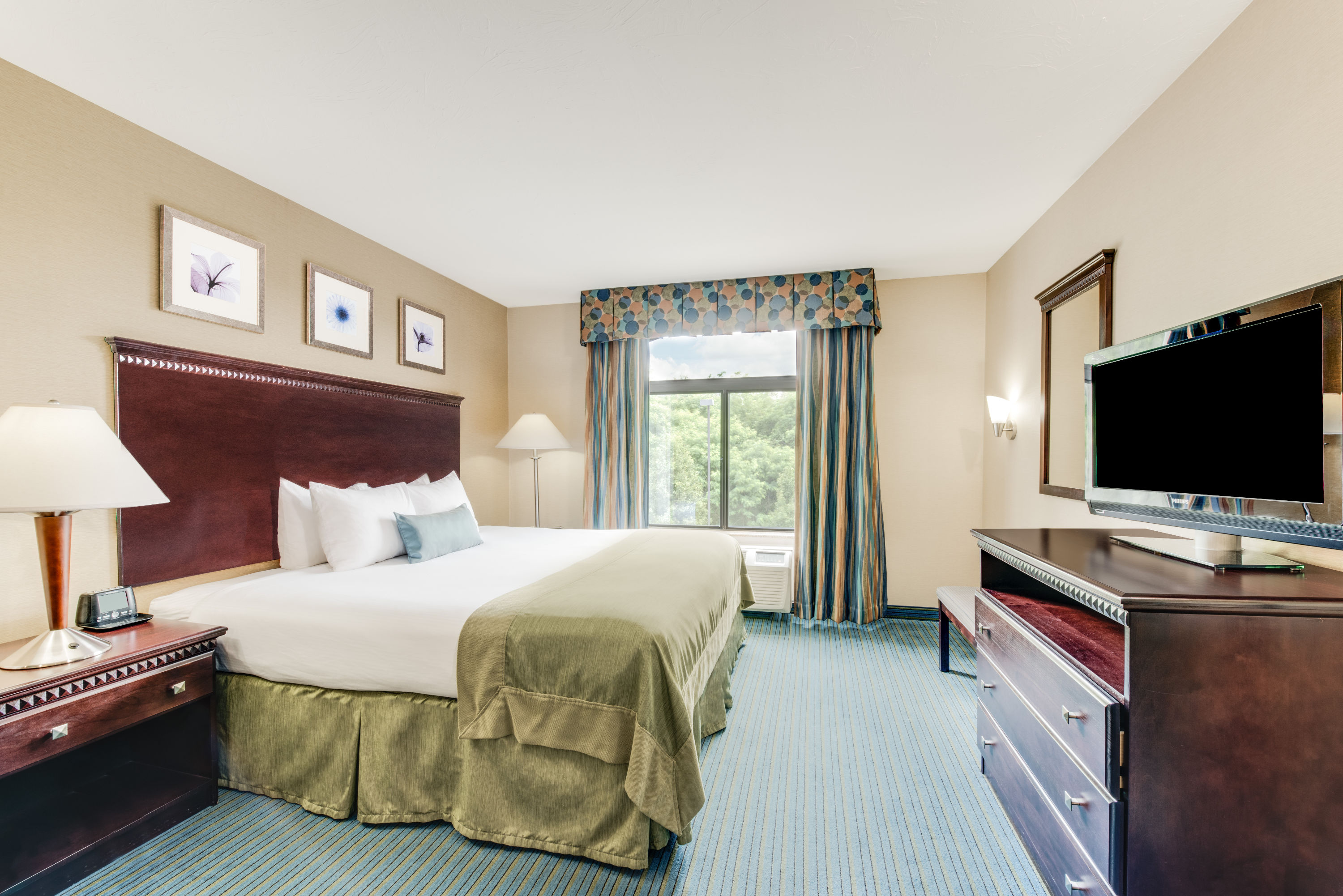 Guest room at the Wingate by Wyndham York in York, Pennsylvania