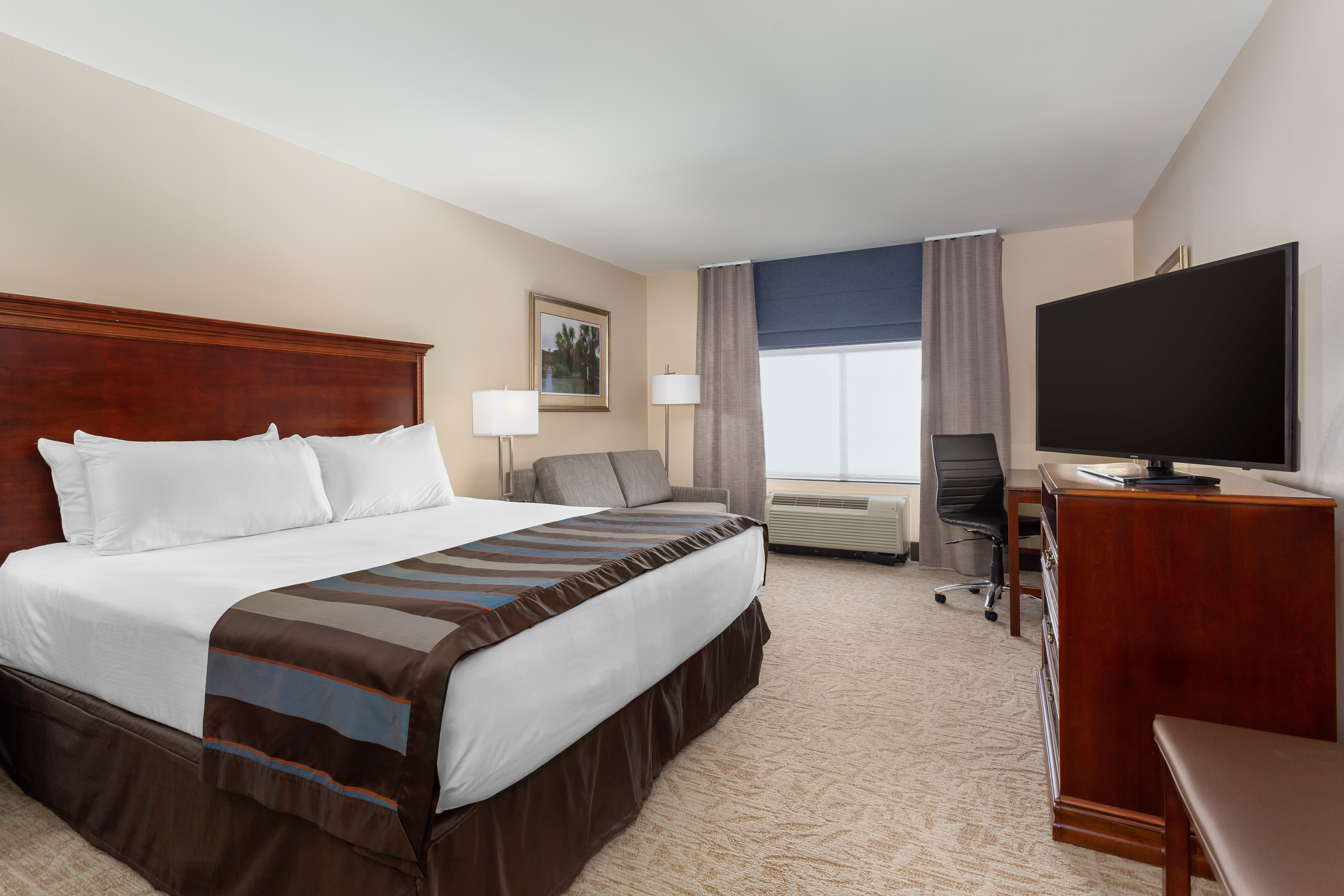 Wingate by Wyndham Columbia / Lexington Lexington SC Hotels
