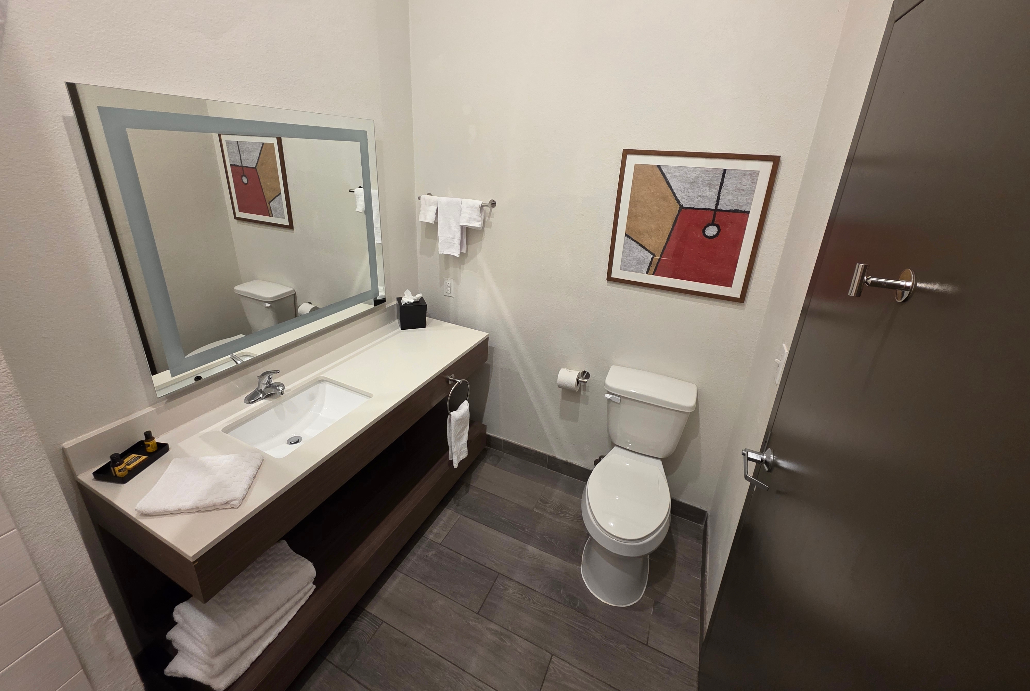 Guest room bath at the Wingate by Wyndham Austin North in Austin, Texas