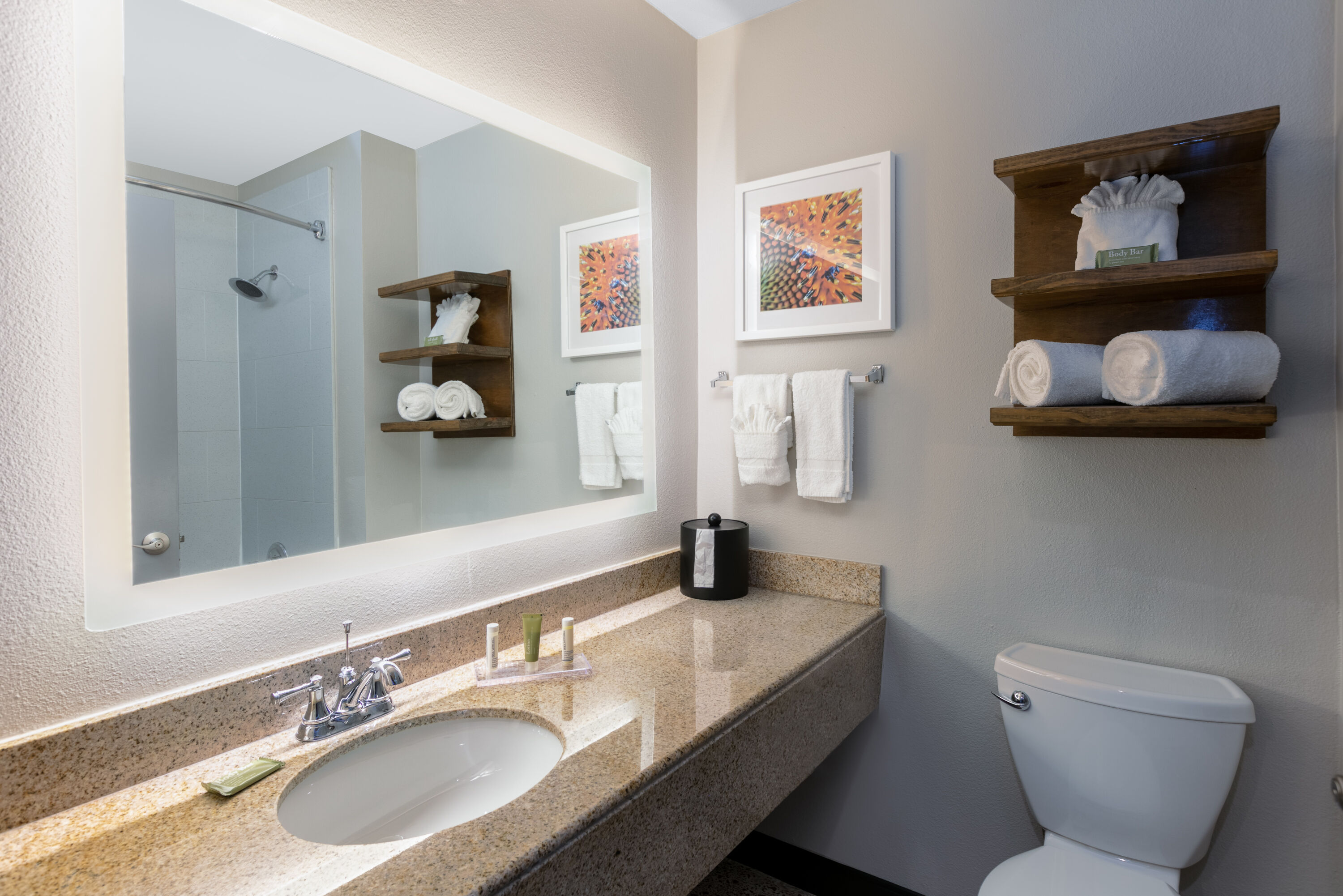 Guest room bath at the Wingate by Wyndham DFW / North Irving in Irving, Texas