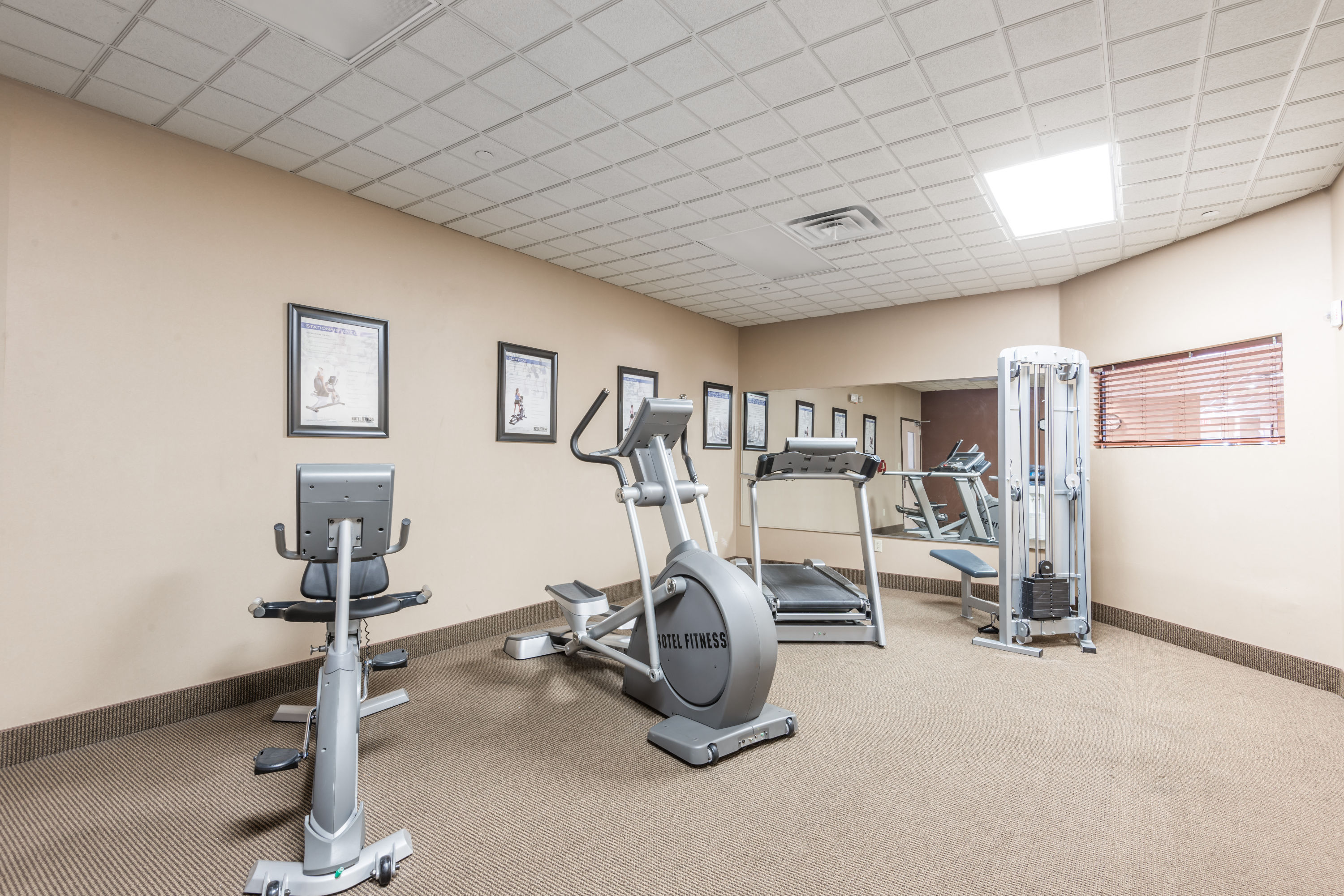 Wingate By Wyndham New Braunfels New Braunfels Tx Hotels